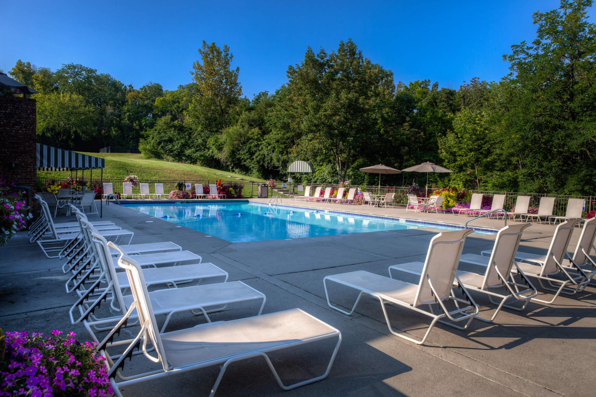 A serene outdoor swimming pool area surrounded by lounge chairs, with green trees in the background and a clear blue sky. The pool is empty, inviting relaxation, with umbrellas providing shade nearby. Flowering plants add a touch of color to the scene.