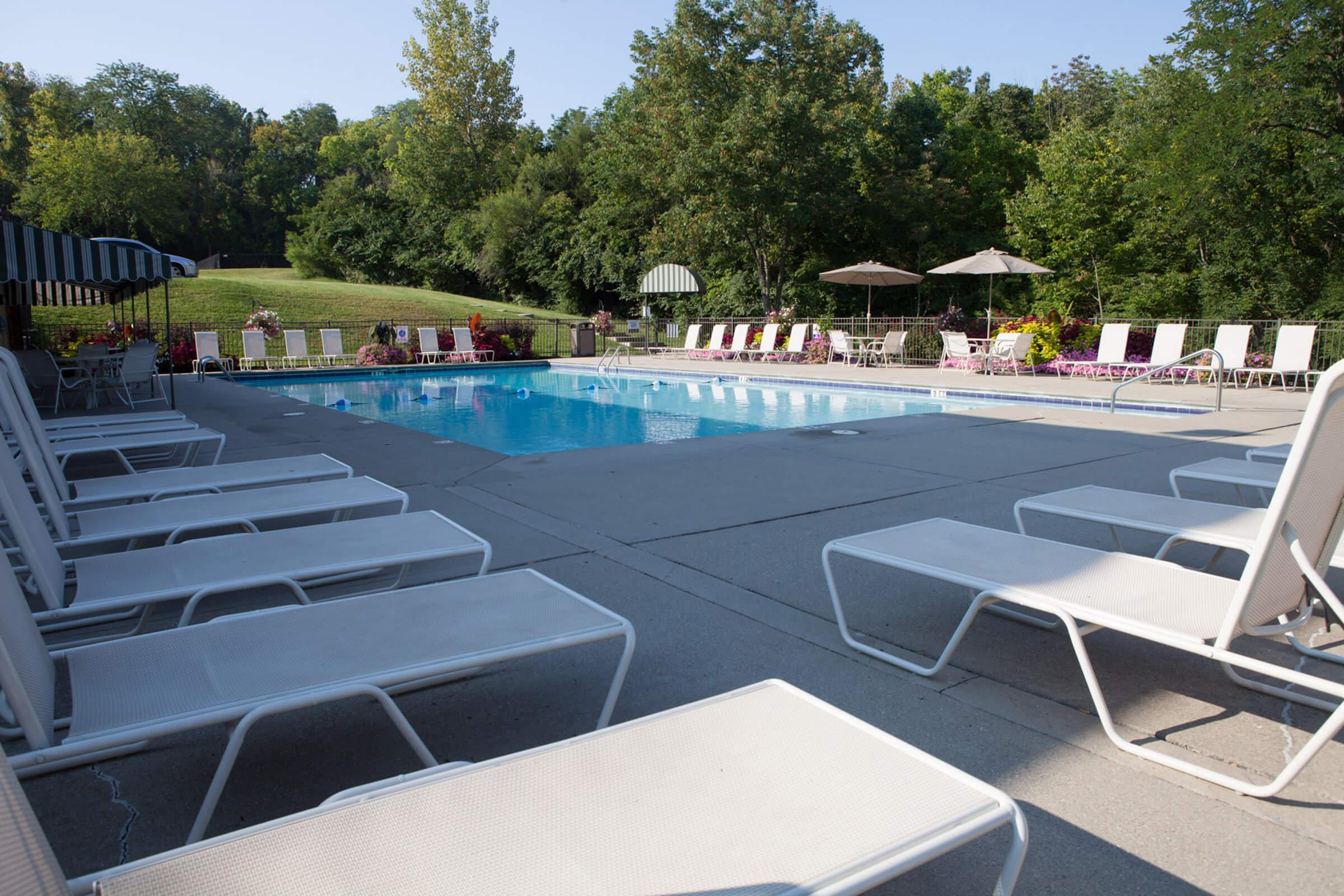 A swimming pool surrounded by lounge chairs and umbrellas, with green trees in the background and a clear blue sky.