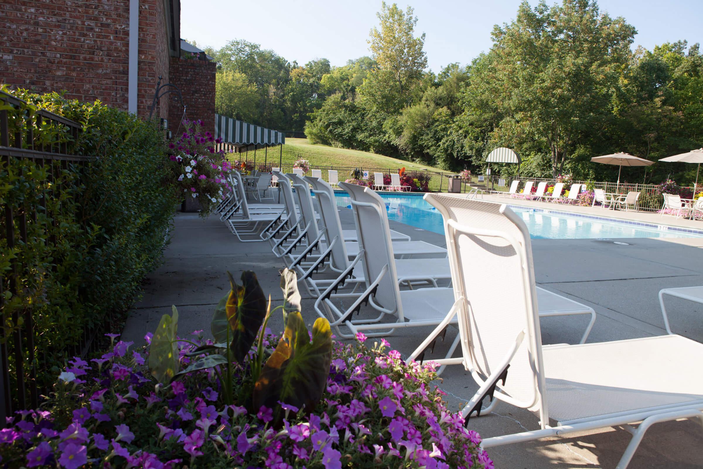 A serene outdoor pool area featuring lined-up lounge chairs beside a clear blue pool, surrounded by vibrant flowers and lush greenery.