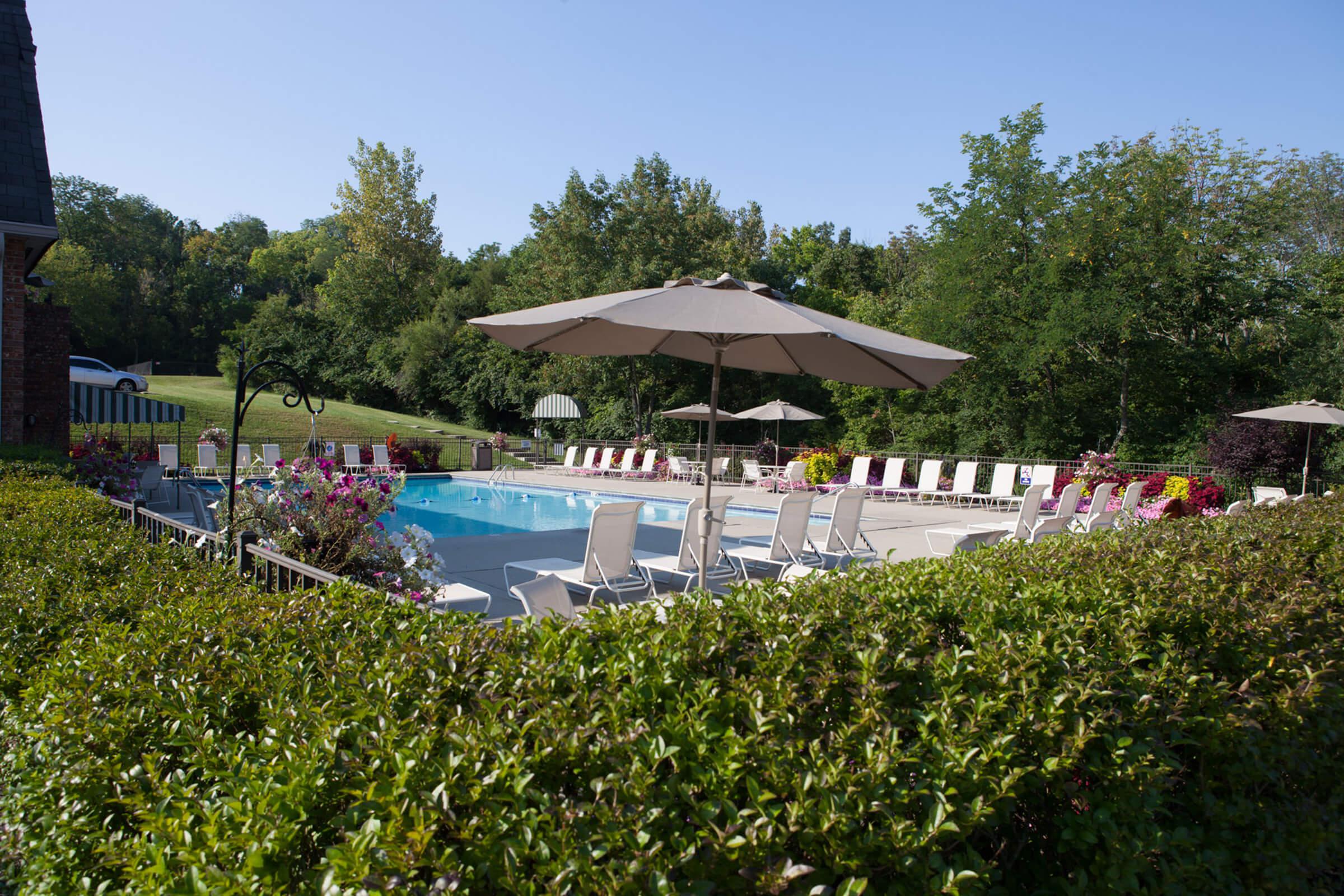 A serene outdoor pool area surrounded by greenery, featuring lounge chairs and umbrellas arranged around the pool. Bright blue water reflects the clear blue sky, and colorful flowers are planted along the edge of the pool area.