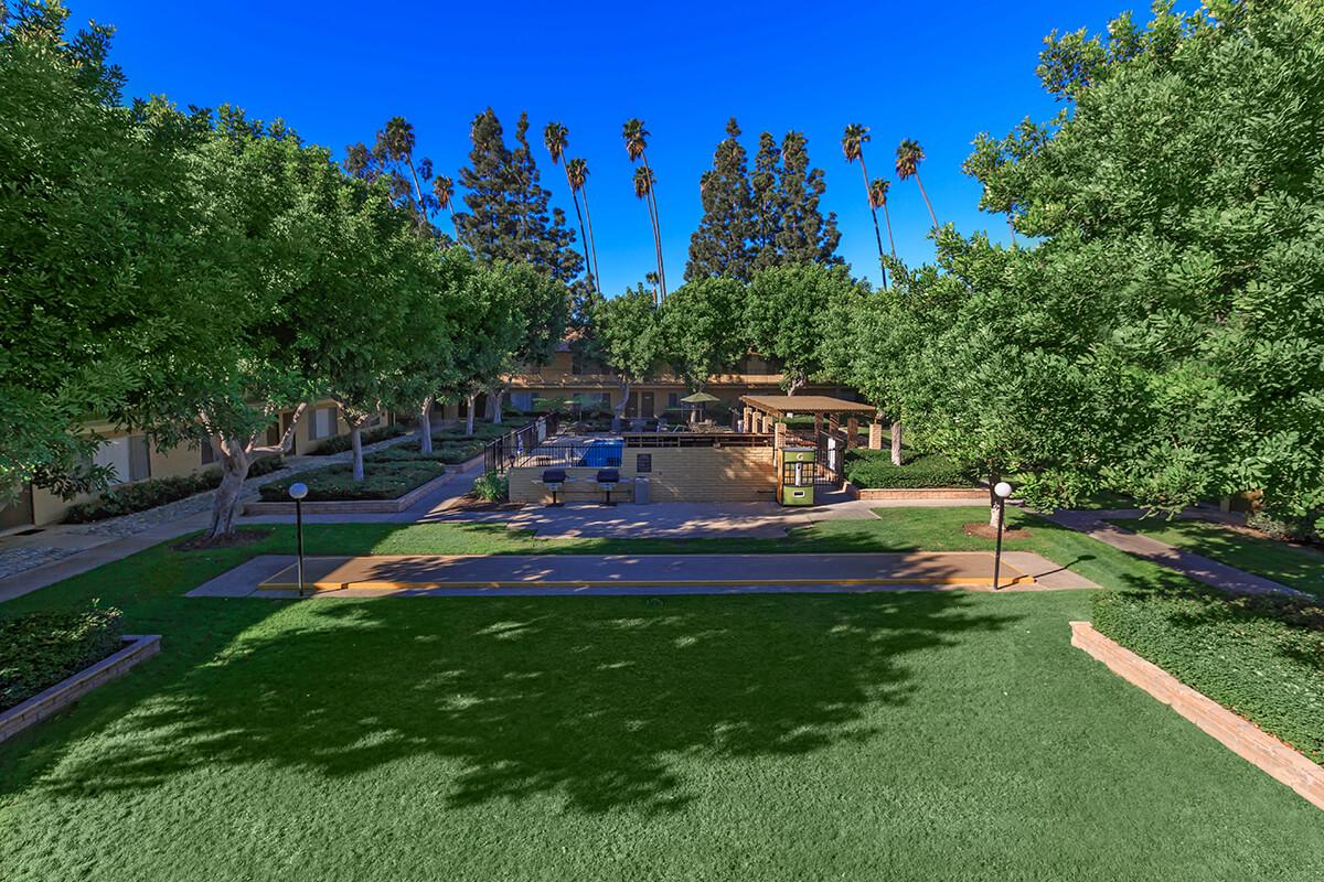 A serene outdoor space featuring lush green lawns, palm trees, and shaded areas, with a few lounge chairs by a swimming pool. The setting is surrounded by low buildings that blend harmoniously with nature, ideal for relaxation and leisure activities. Clear blue skies overhead enhance the vibrant atmosphere.
