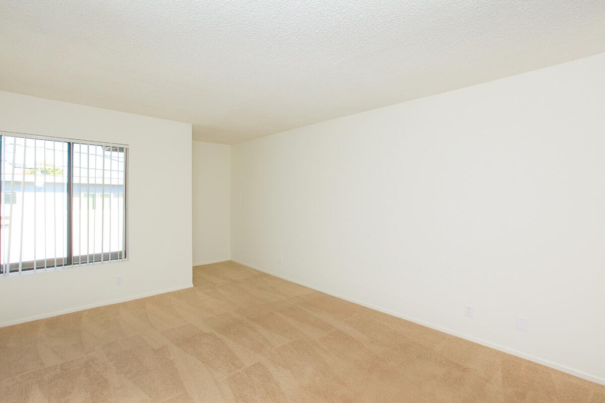 A spacious, empty room with light beige carpeting and plain white walls. A large window with vertical bars allows natural light to enter, illuminating the space. The room has minimal furnishings and an overall bright, airy feel, making it suitable for various uses.