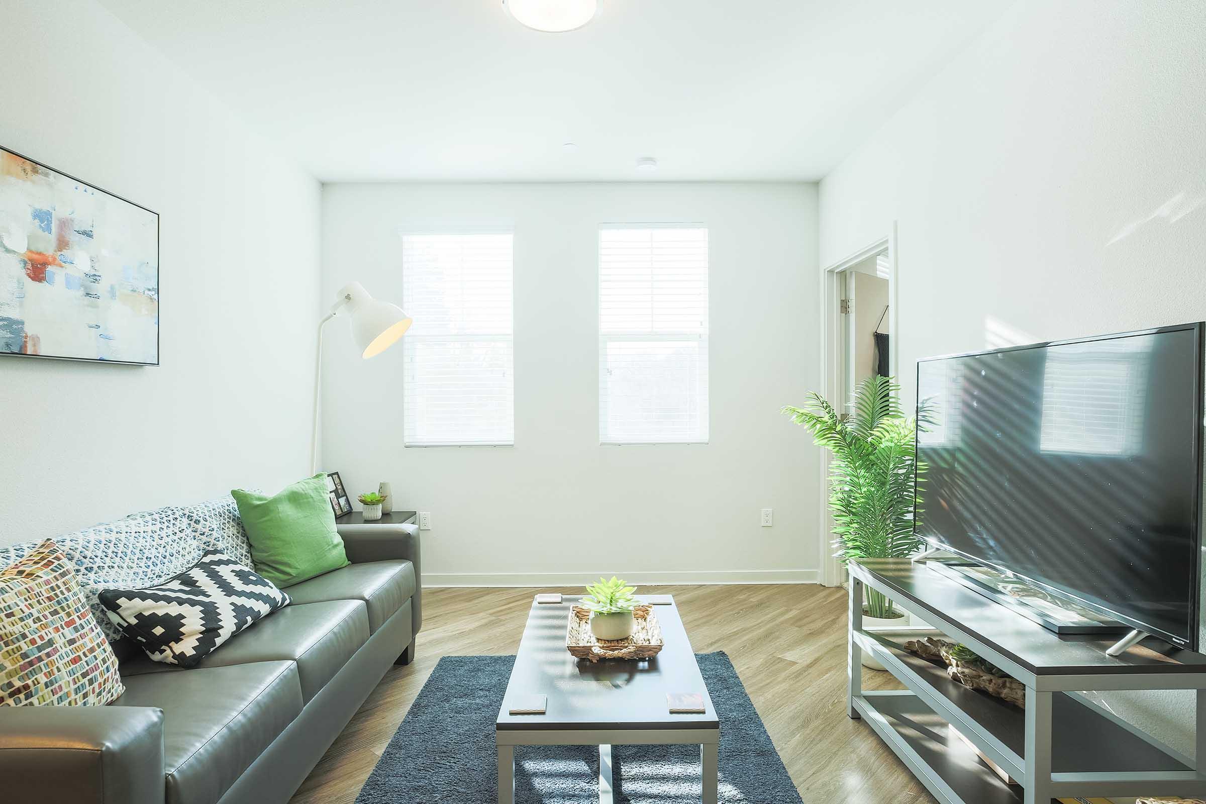 A modern living room featuring a gray sofa with colorful throw pillows, a coffee table with plants, a large television on a minimalist stand, and a floor lamp. The room has light-colored walls and two windows allowing natural light to illuminate the space, along with a potted plant for added decor.
