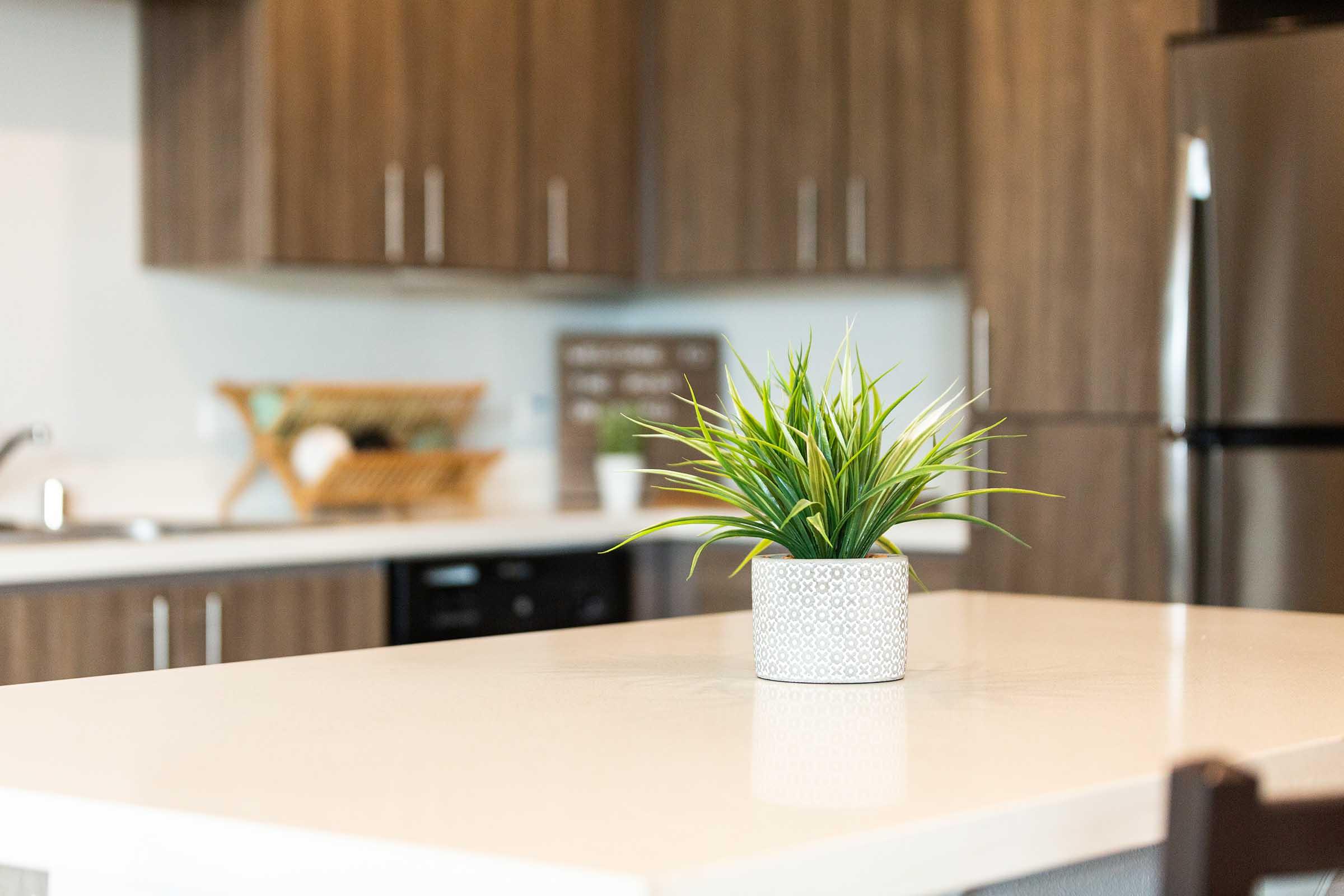 A modern kitchen featuring wooden cabinets and a stainless steel refrigerator. In the foreground, a small potted plant with green leaves sits on a white countertop, adding a touch of greenery to the space. A basket and decorative items are visible in the background.