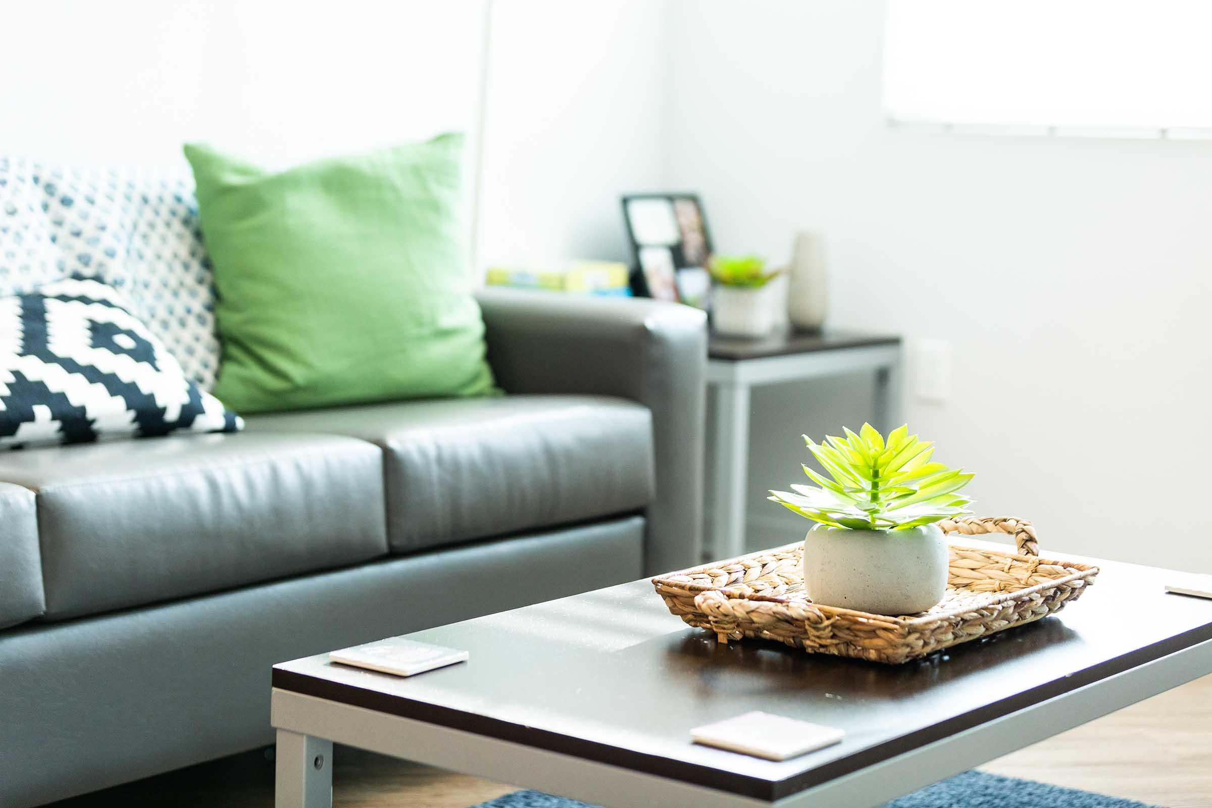 A cozy living room featuring a gray sofa with green and patterned throw pillows. In the foreground, a wooden coffee table holds a woven basket with a small potted succulent. A side table with decorative elements is visible, and natural light streams in through a nearby window.
