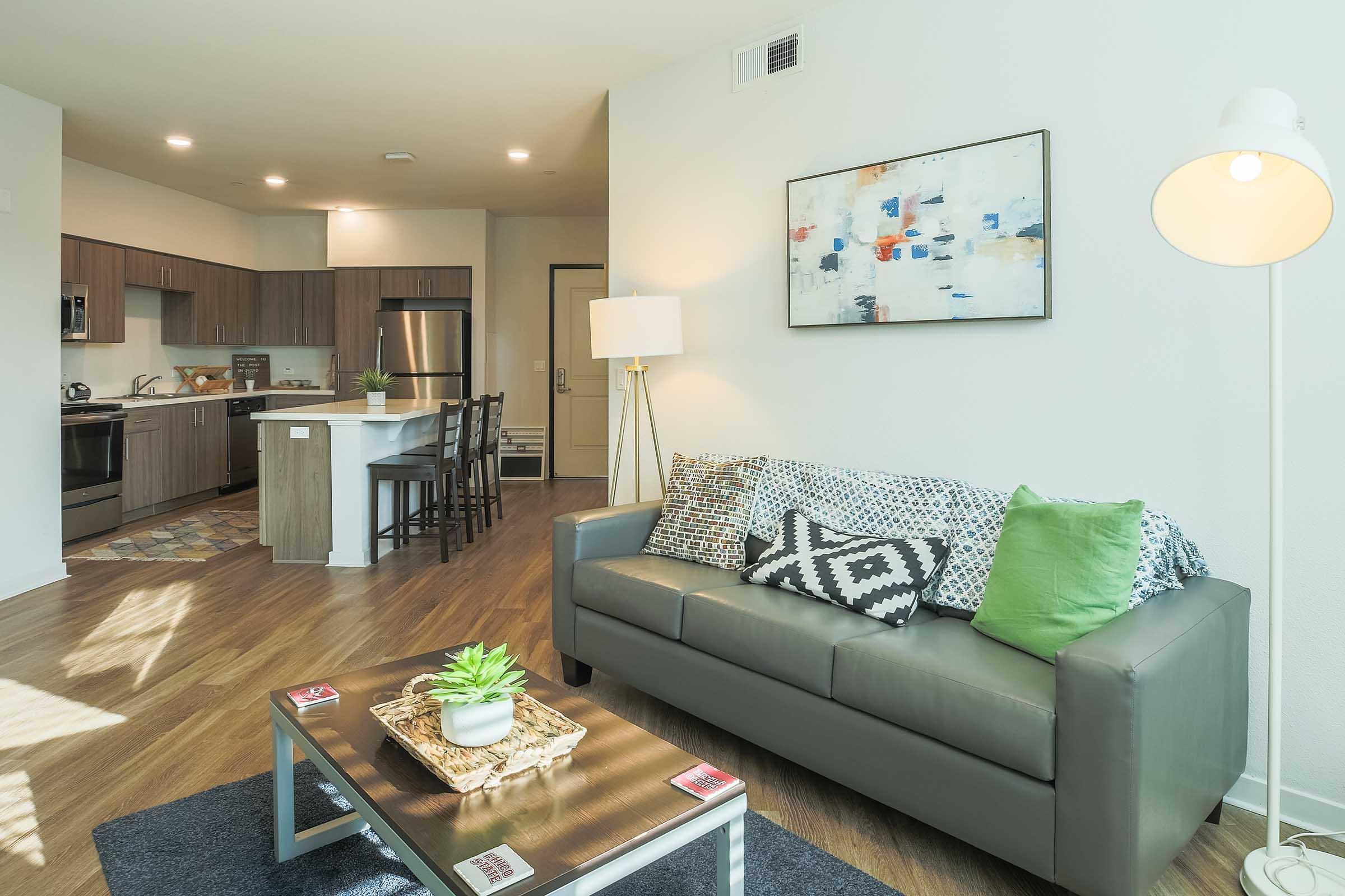 Modern living room in an apartment featuring a gray sofa adorned with patterned cushions, a wooden coffee table with a plant centerpiece, and a floor lamp. The background includes a stylish kitchen with wooden cabinets and stainless steel appliances, complemented by artwork on the wall.