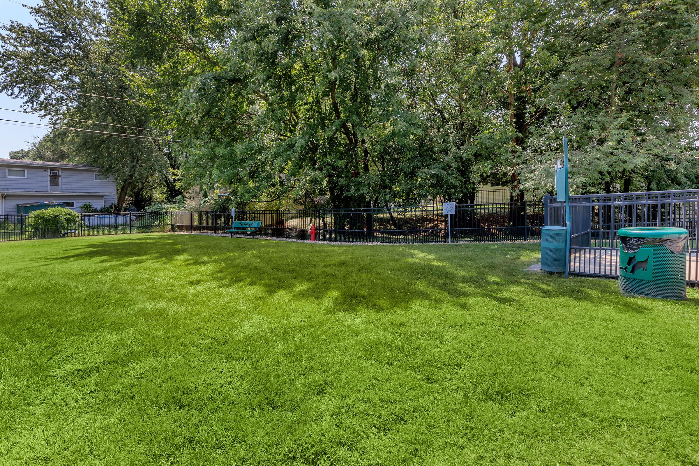 A grassy area in a park, with trees in the background and a black fence enclosing the space. A fire hydrant is visible, along with a green bench and a trash can near the fence. The sunny day highlights the lush green grass.