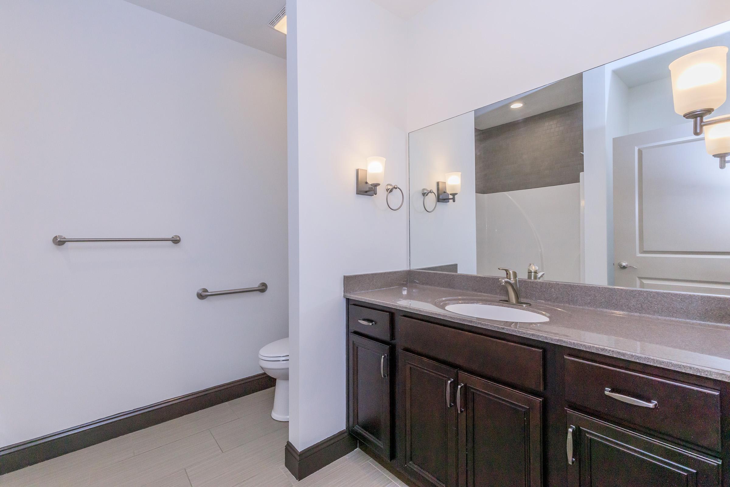 A modern bathroom featuring a dark wood vanity with a sink and mirror, wall-mounted light fixtures, and a toilet. Grab bars are installed on the wall, and the floor is tiled in light colors. The shower area is visible in the background, with a sleek, contemporary design.