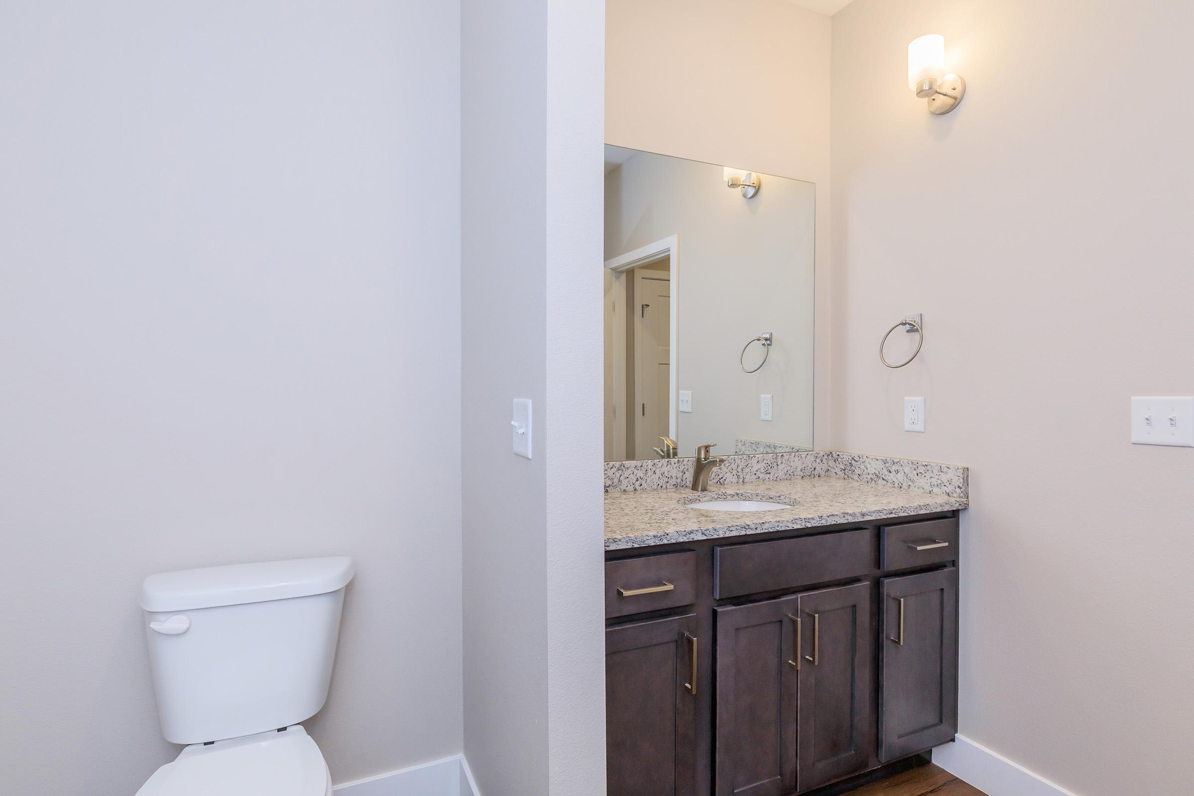 A modern bathroom featuring a toilet on the left and a vanity with a sink and mirror on the right. The countertop is made of granite, and the cabinetry is dark wood. The walls are painted in a light color, and there is a light fixture above the mirror. The floor has a wood-like finish.