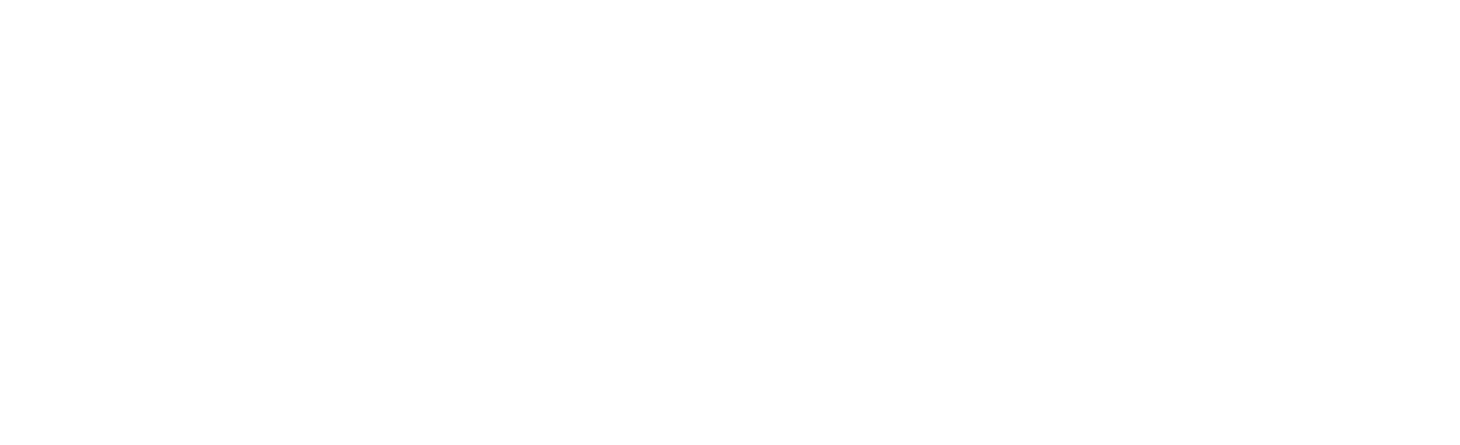 Tera Vera Patio Homes ebrochure logo