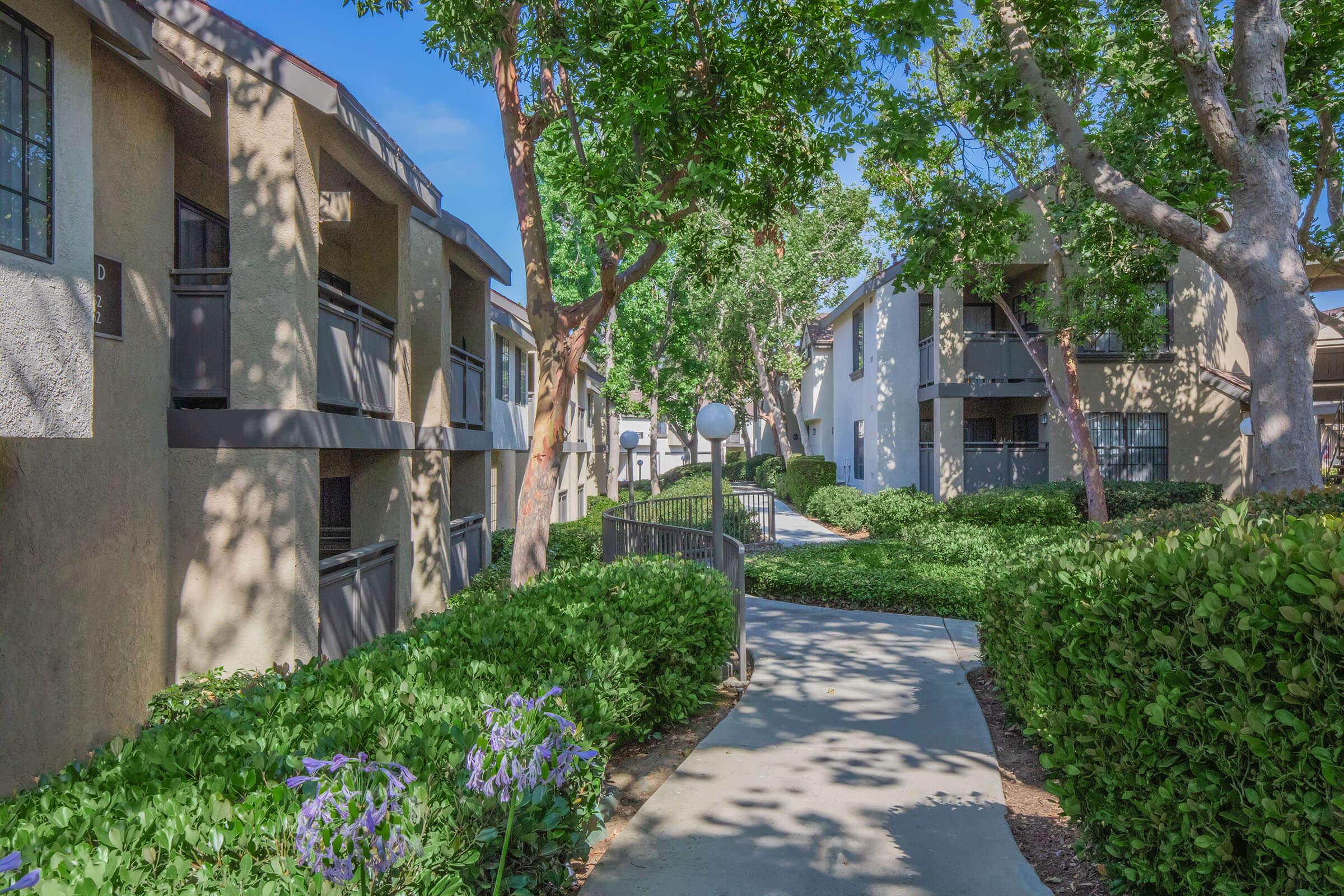Pathway lined with green bushes and flowers, leading through an apartment complex with beige and white buildings. Trees provide shade on a sunny day, creating a tranquil and inviting atmosphere.