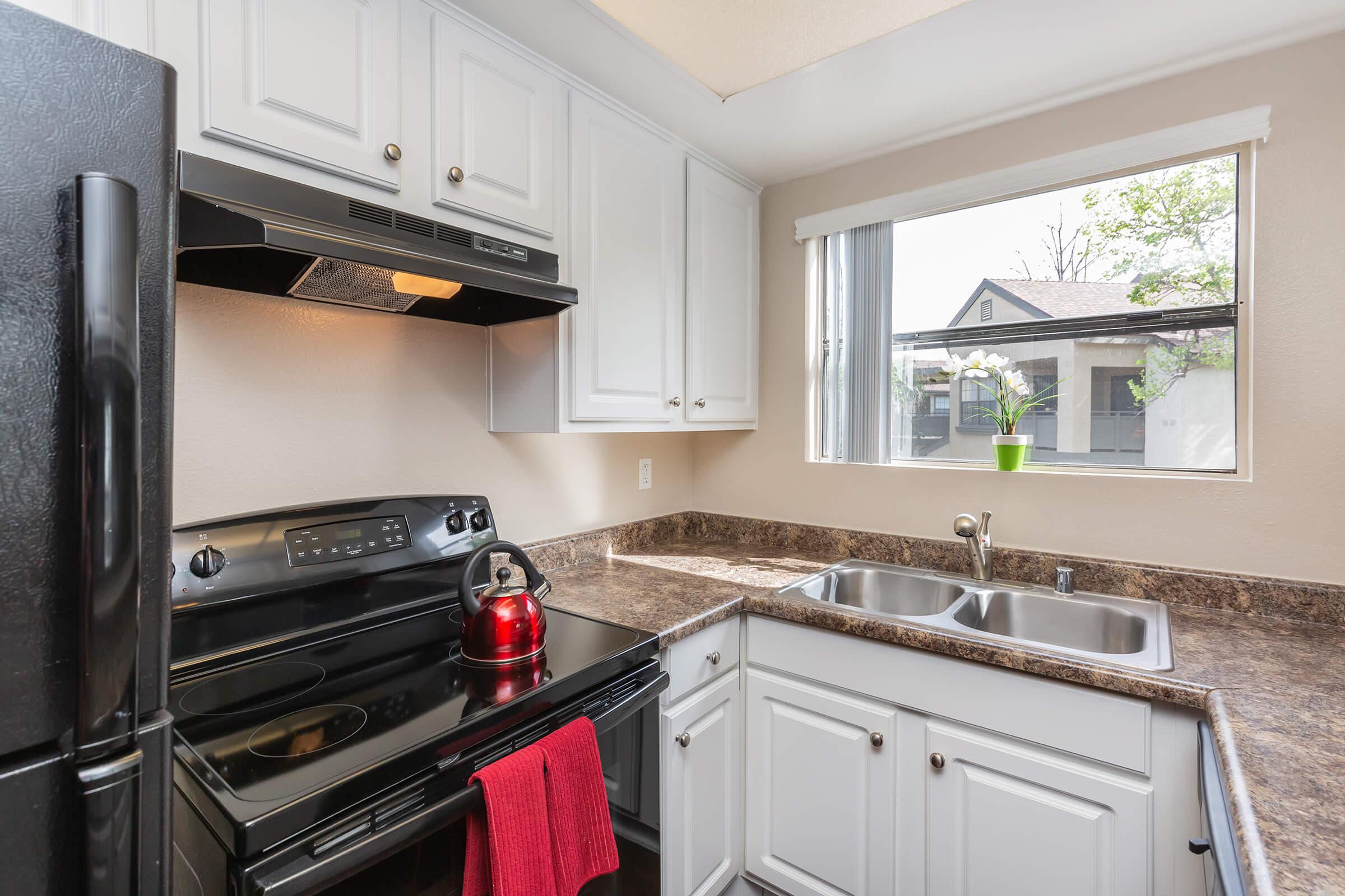 Kitchen with black appliances