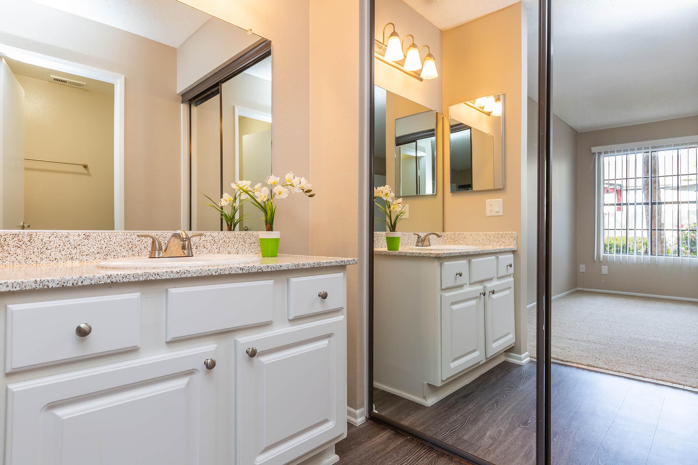 Bathroom sink with sliding mirror glass closet doors