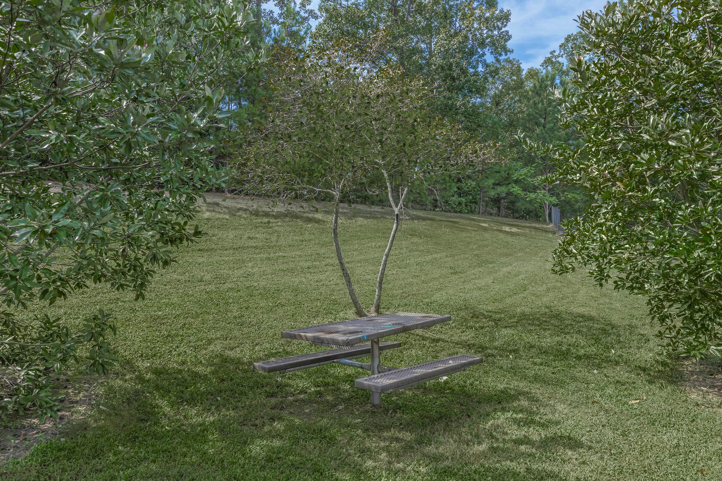 a tree in a grassy yard