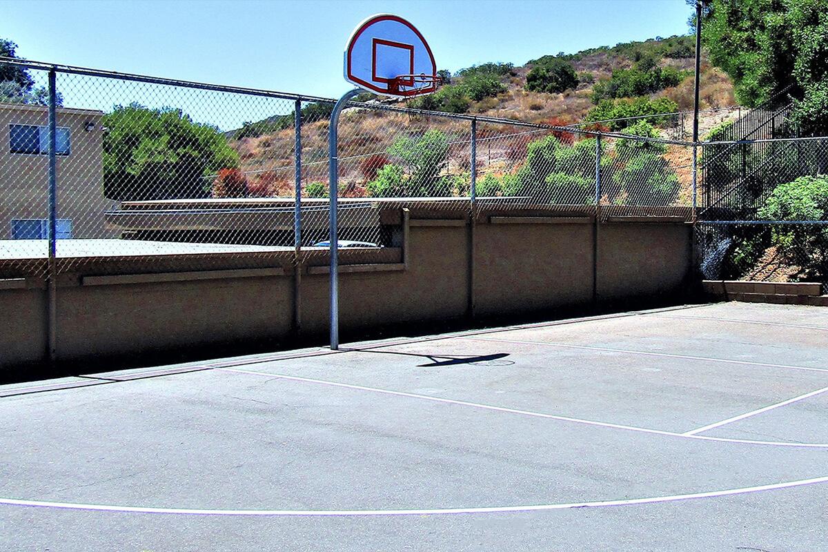 Basketball Court.jpg