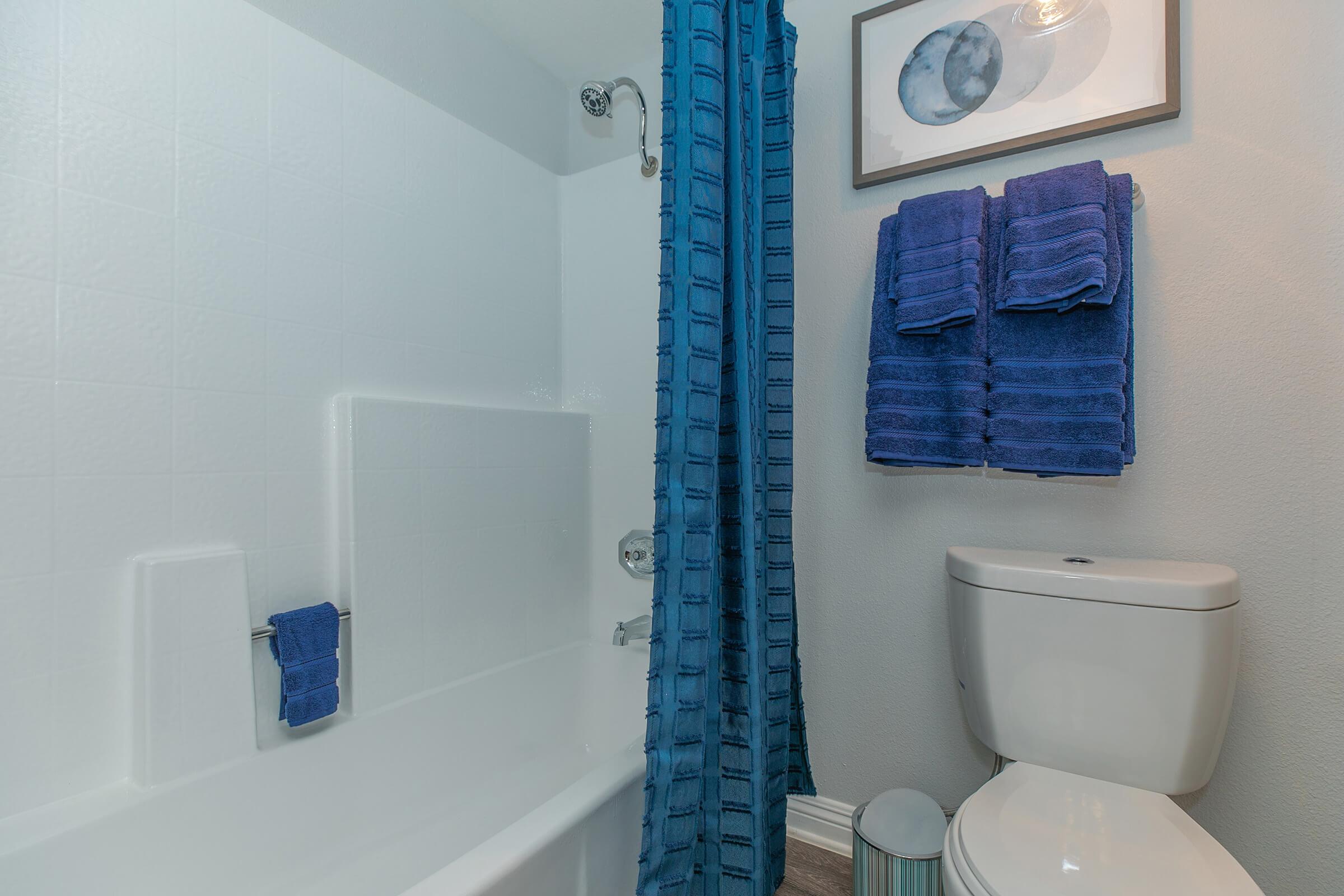 a blue and white shower curtain