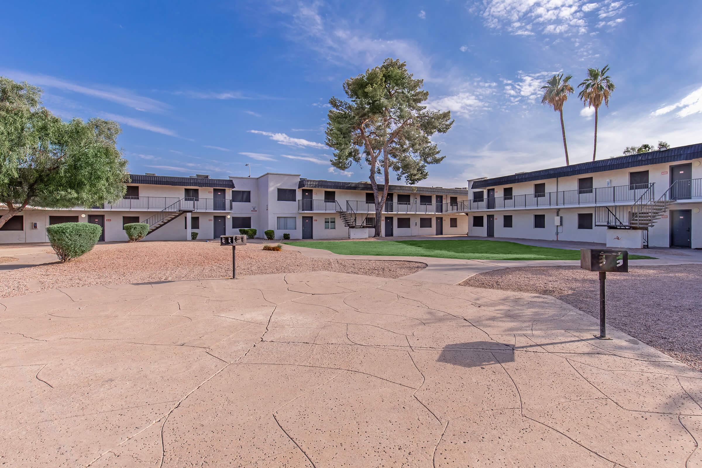 a palm tree in front of a building