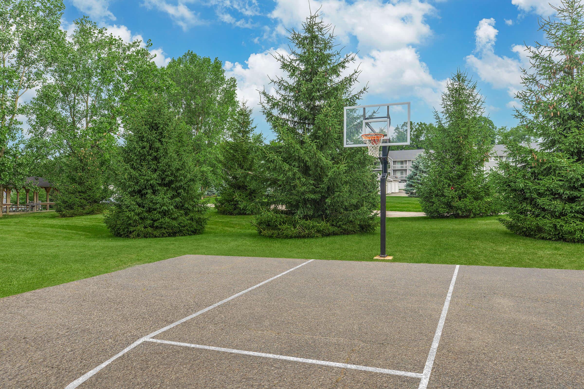A basketball court surrounded by lush green trees and a clear blue sky. The court features a hoop on a black stand, with white lines marking the playing area. The background includes a grassy field and a glimpse of a residential building. Ideal for outdoor sports and recreation.