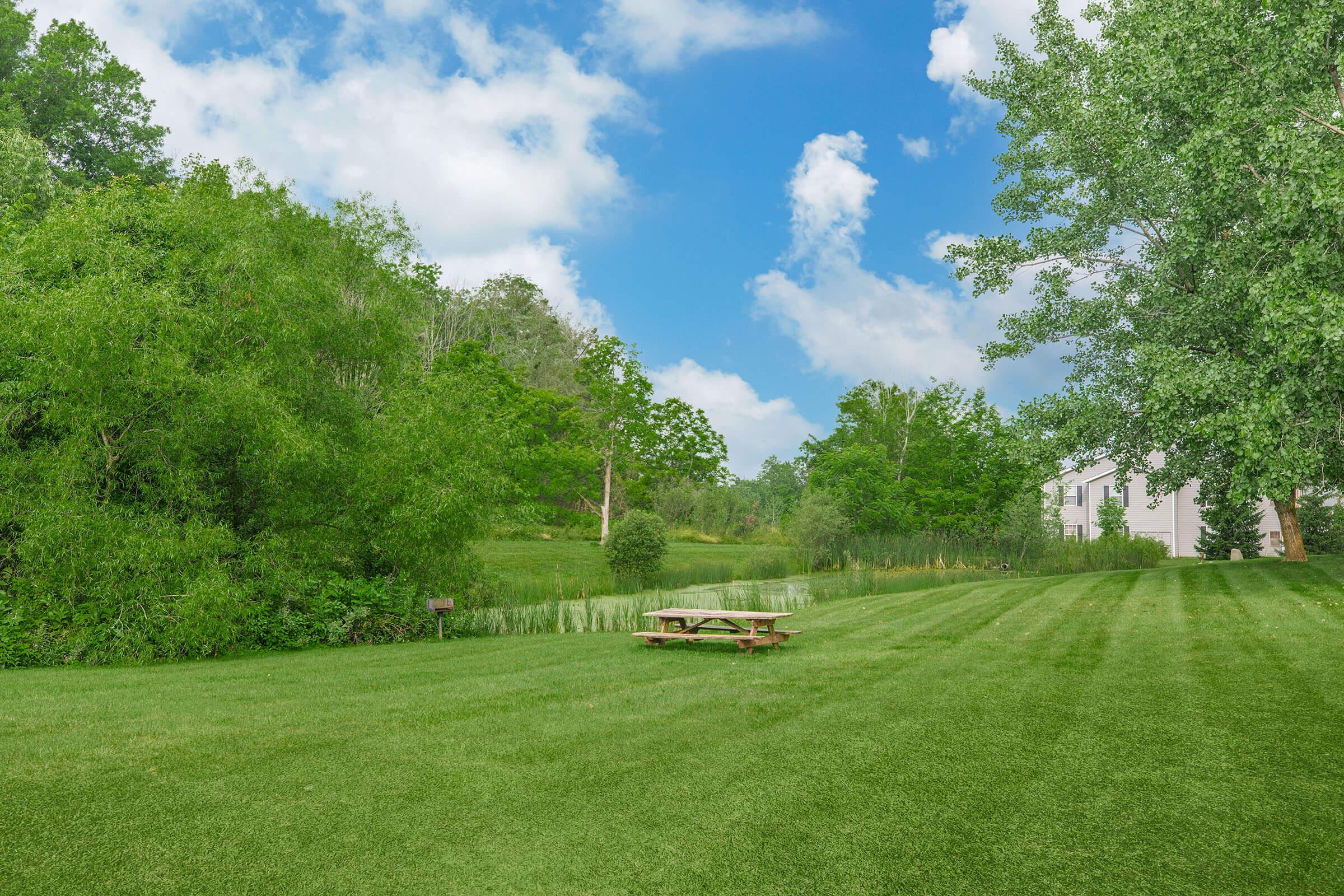 A serene outdoor scene featuring a lush green lawn, surrounded by trees and shrubs. In the foreground, there is a wooden picnic table. In the background, a tranquil landscape with a small water body and a cloudy blue sky adds to the peaceful atmosphere.