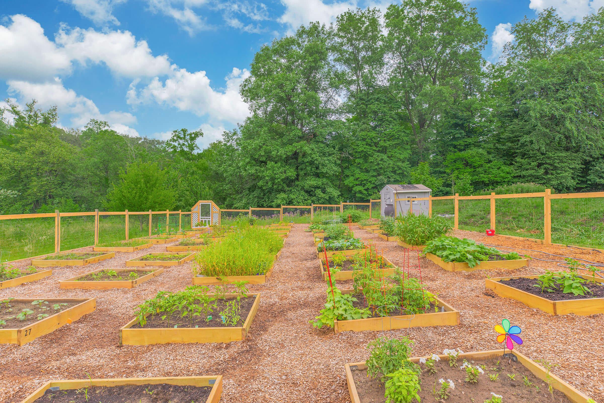 A vibrant community garden featuring raised wooden beds filled with various plants and vegetables. The garden is surrounded by lush greenery and tall trees under a bright blue sky with puffy white clouds. Pathways of wood chips lead through the garden, and a colorful pinwheel adds a playful touch.