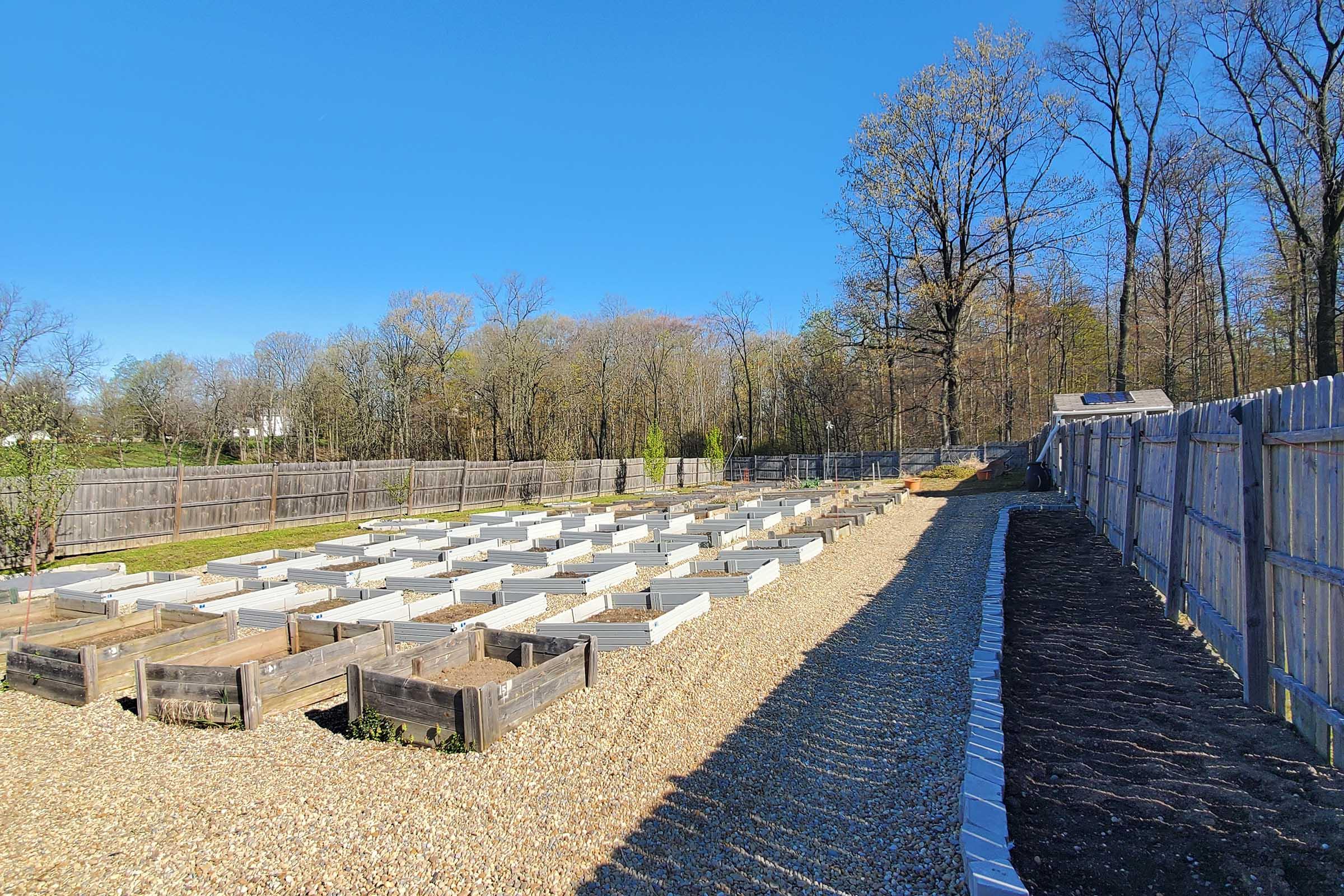 A sunny garden layout featuring several rectangular raised garden beds arranged in rows, surrounded by gravel pathways. A wooden fence lines one side, while trees are visible in the background under a clear blue sky.