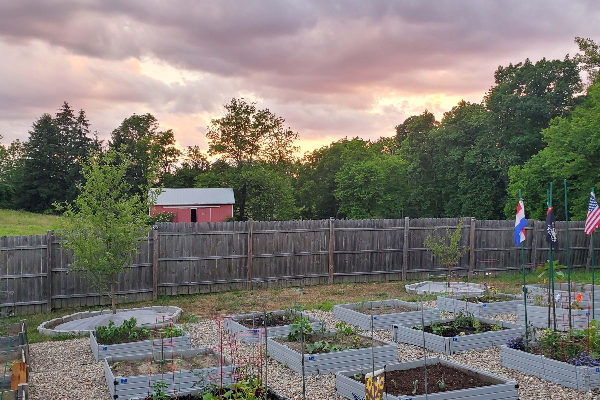 A serene garden scene at sunset featuring raised garden beds filled with various plants. In the background, a small shed is visible, surrounded by trees and a wooden fence. The sky is partly cloudy with hues of pink and orange, creating a peaceful atmosphere.