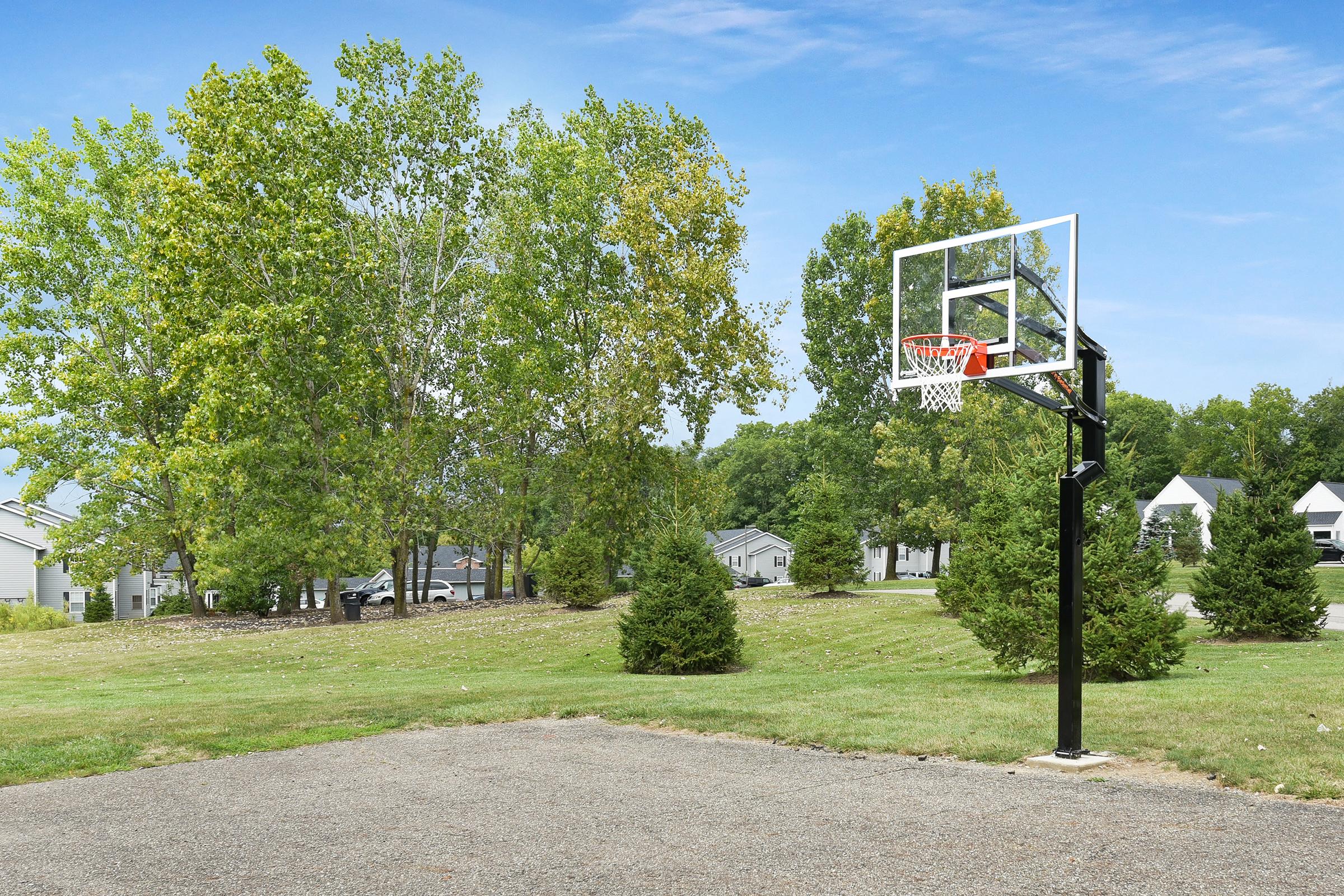 A basketball hoop stands on a gravel court surrounded by green grass and trees on a sunny day. In the background, there are homes and more trees, creating a peaceful suburban setting. The sky is clear with only a few clouds.