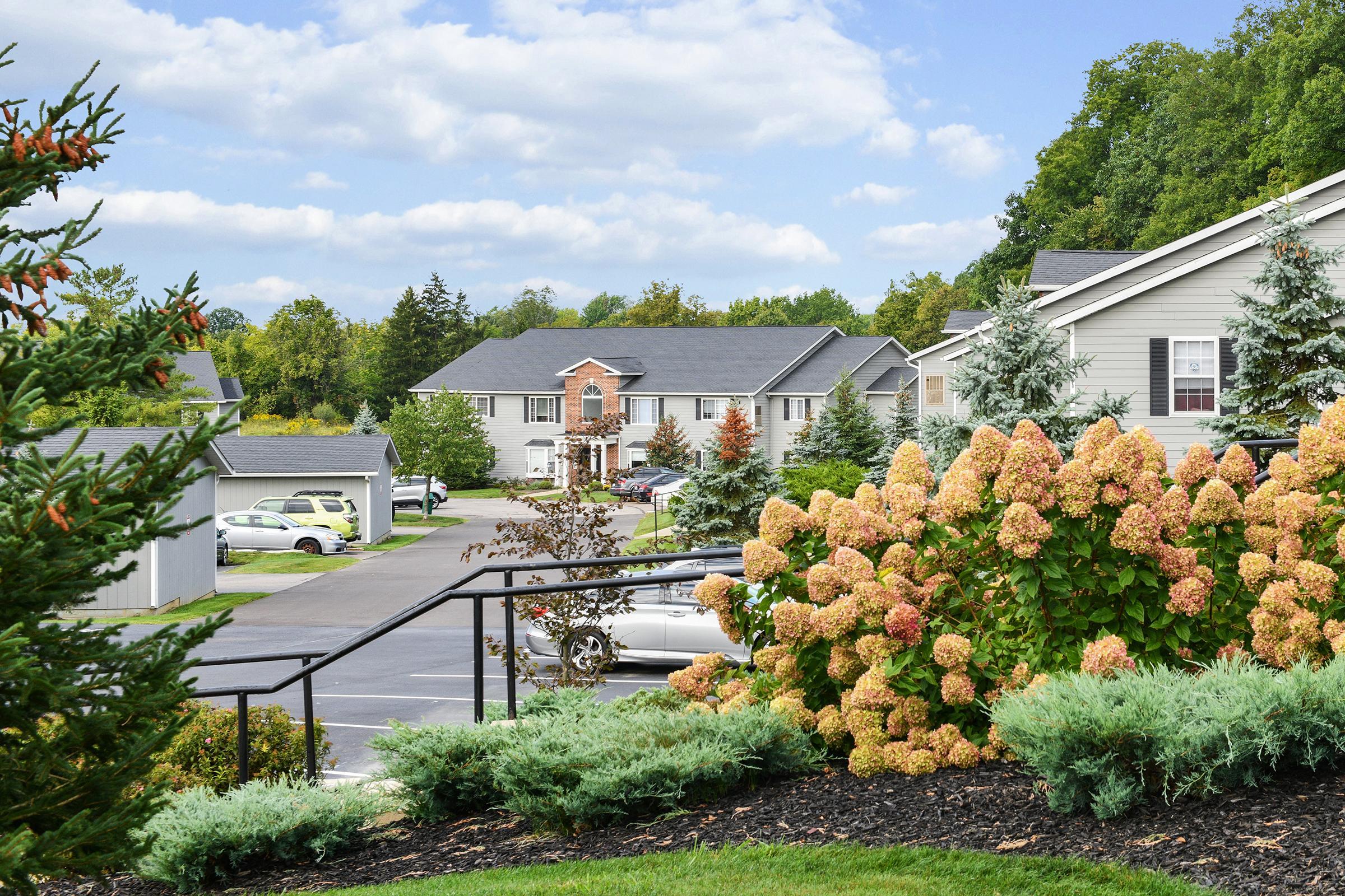 A scenic view of a residential neighborhood featuring well-maintained homes and lush landscaping. In the foreground, clusters of blooming hydrangeas and evergreen shrubs are visible, while several parked cars line the driveways. The sky is partly cloudy, and green trees surround the area, adding to the tranquil atmosphere.