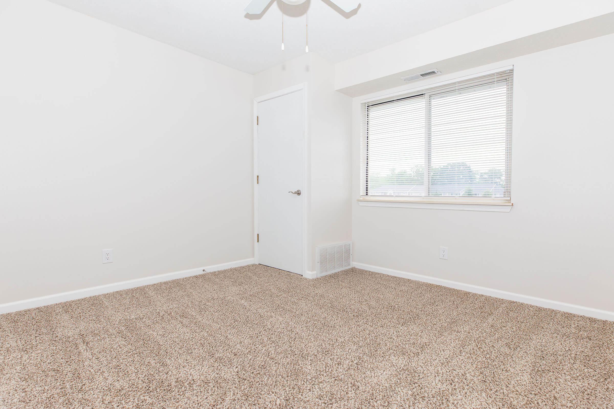 Empty room with beige carpet, a ceiling fan, and a window covered by blinds. The walls are painted light neutral colors, and there is a closed door on one side. The space appears bright and uncluttered, suitable for various uses.