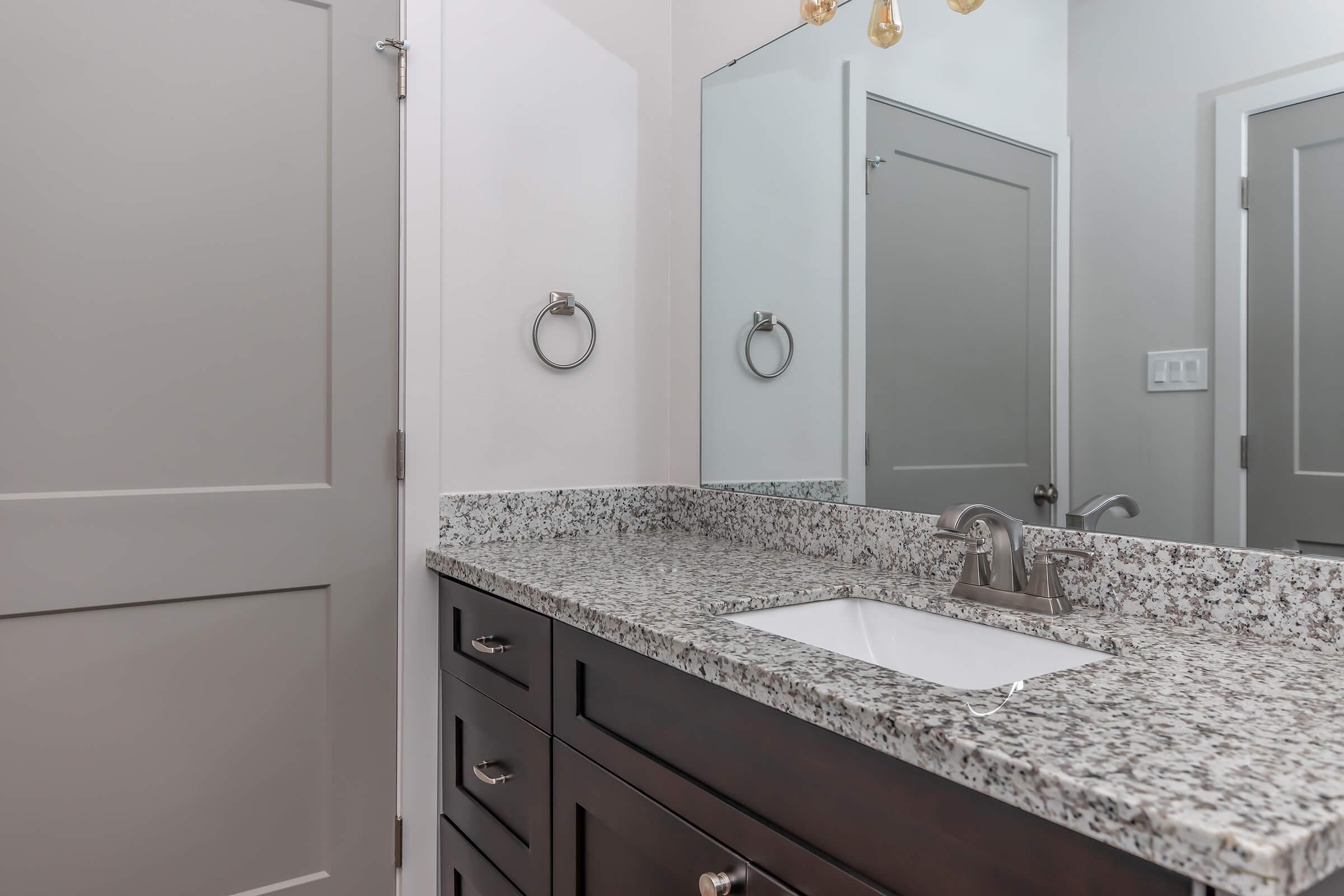 a double sink and large mirror