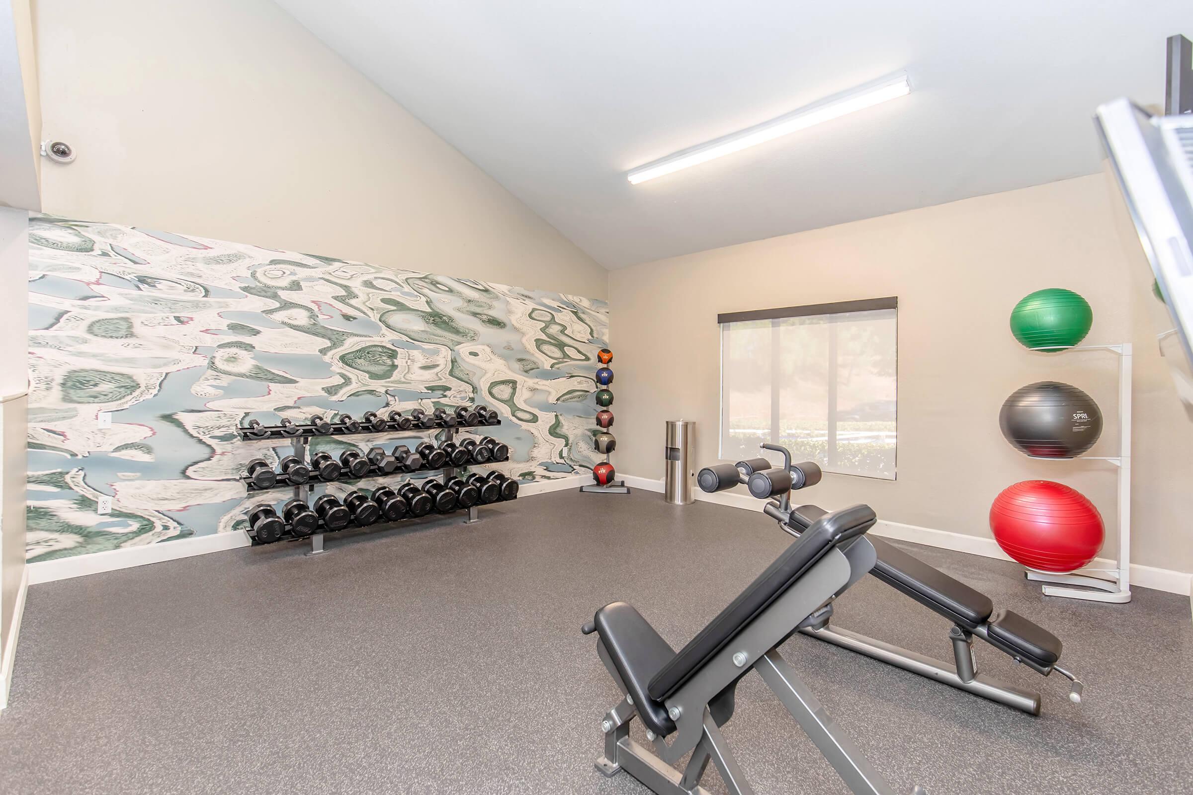 A modern gym space featuring a rack of dumbbells against an artistic wall design, exercise mats, and colorful exercise balls. The room is well-lit with large windows allowing natural light in, enhancing the inviting atmosphere for workouts.