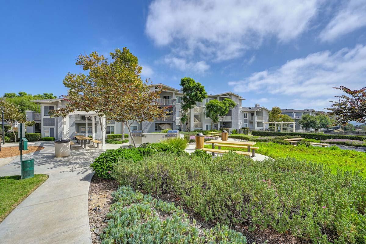 A landscaped area featuring benches, picnic tables, and greenery, with modern residential buildings in the background under a clear blue sky. The space is designed for outdoor gatherings and relaxation, with well-maintained pathways and plants.