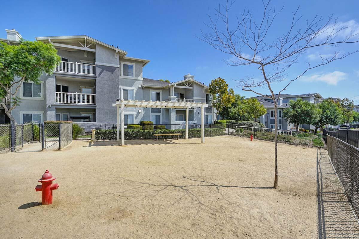 A dog park area featuring a dry, sandy ground with a red fire hydrant, surrounded by a fence. In the background, there are residential apartment buildings with balconies, lush greenery, and clear blue skies. A leafless tree stands nearby, adding to the natural setting.
