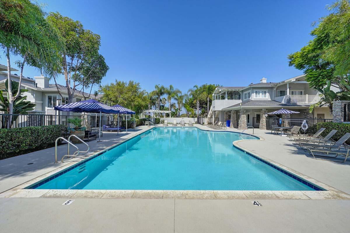 A clear blue swimming pool surrounded by lounge chairs and umbrellas, with palm trees and greenery in the background. The pool area is well-lit under a sunny sky, featuring nearby buildings with balconies.