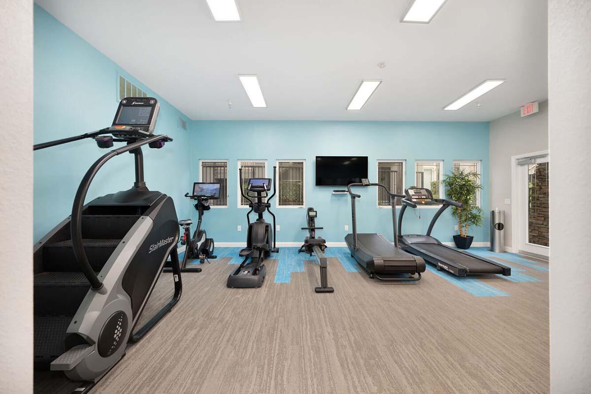 A well-lit fitness room featuring a variety of exercise equipment, including treadmills, an elliptical, and a stationary bike. The walls are painted light blue, and there is a television mounted on the wall. Plants add a touch of greenery to the space, which has a modern and inviting design.