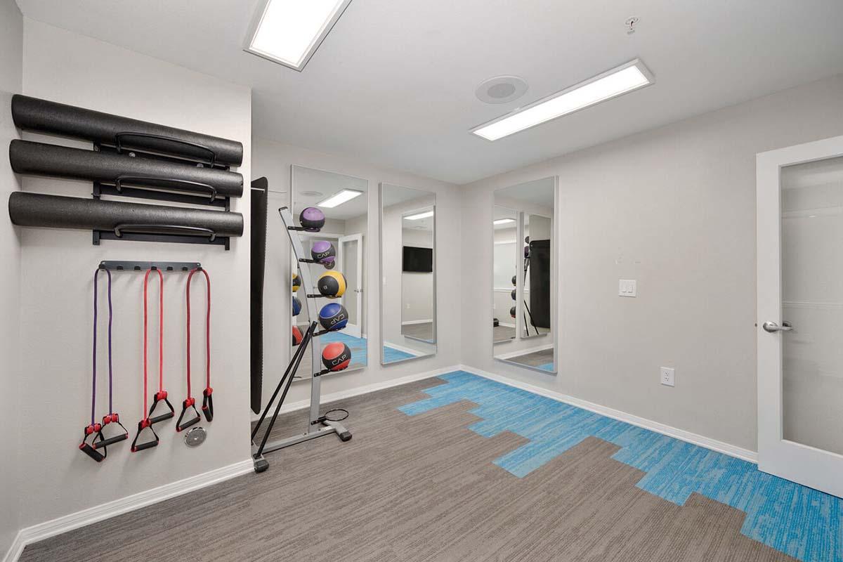 A small fitness room featuring exercise mats on a rack, resistance bands mounted on the wall, and a standing rack holding various medicine balls. The floor is a mix of light and dark blue carpeting, and there are mirrors across one wall, along with a door leading to another space.
