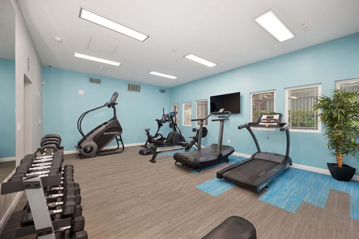 A modern fitness room featuring various exercise equipment including a treadmill, stationary bike, elliptical machine, and a set of dumbbells on a rack. The walls are painted light blue and there are large windows allowing natural light to illuminate the space. A television is mounted on the wall.