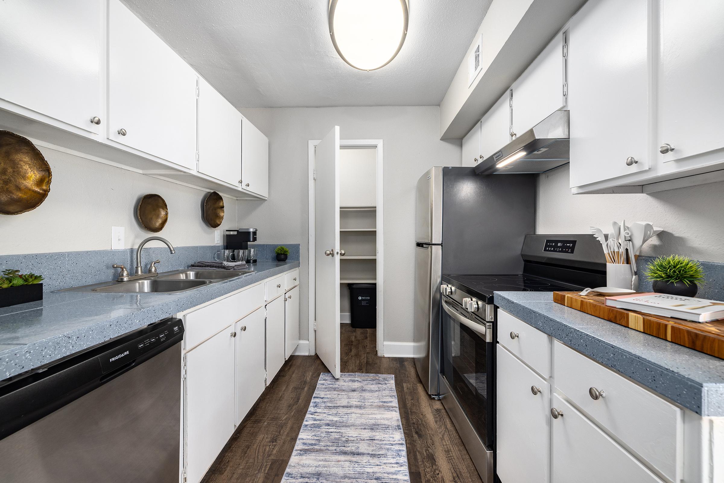Modern kitchen featuring white cabinetry, stainless steel appliances, and a gray countertop. Includes a double sink, a dishwasher, and an open pantry door. Decorative elements like wall plates and a rug add style. Ample natural light from a ceiling fixture illuminates the space.