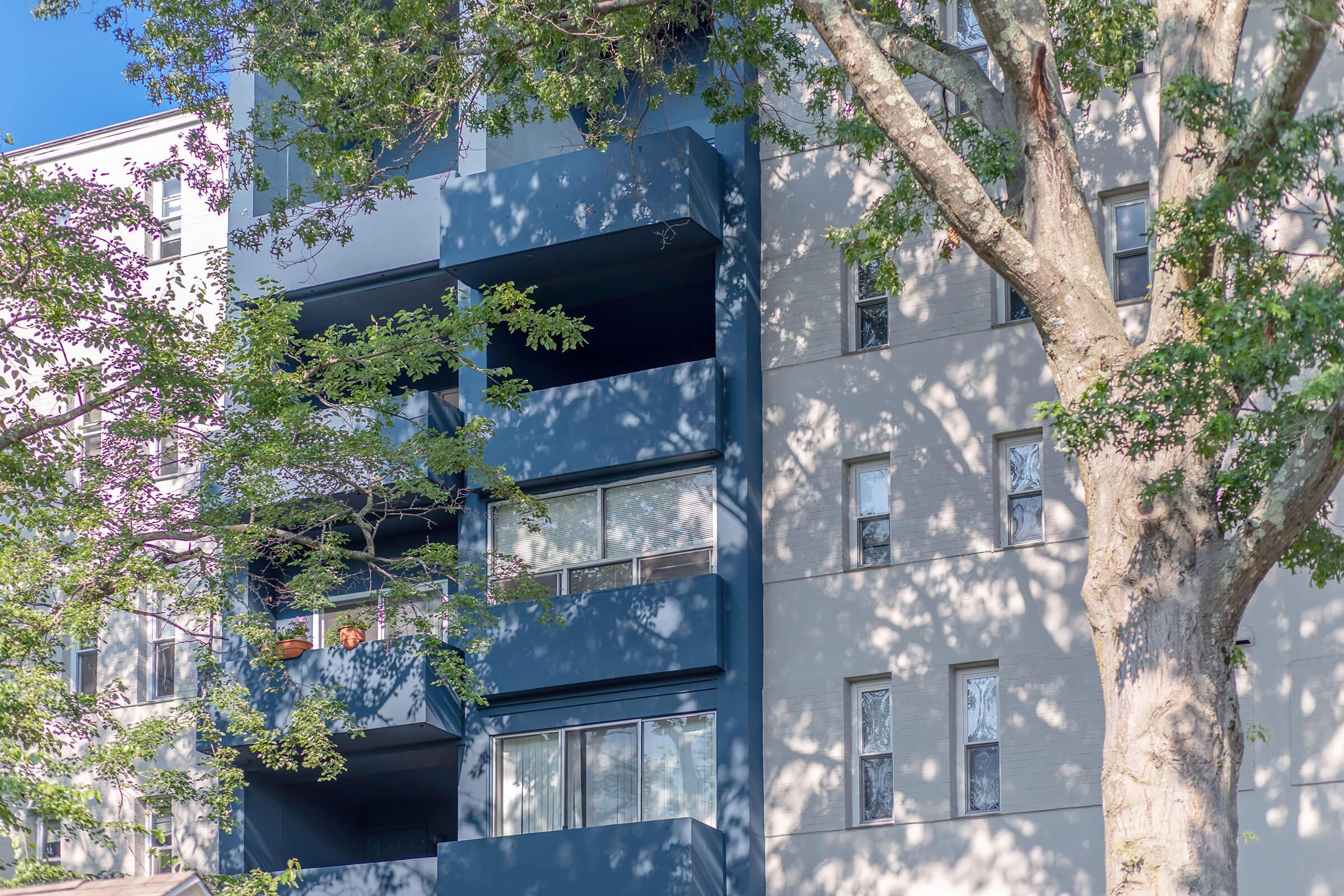 a tree in front of a building