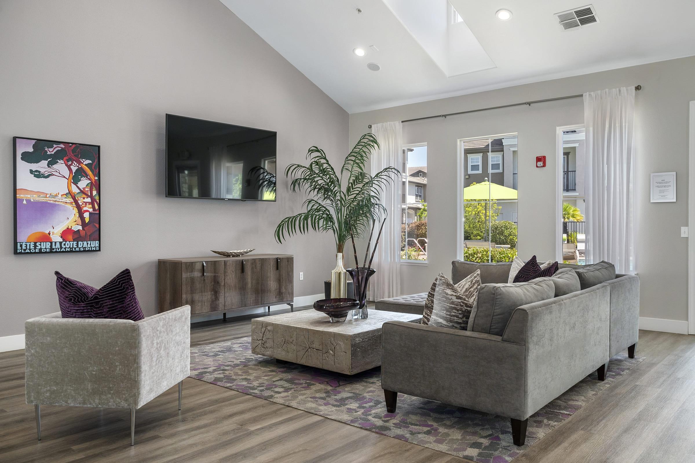 A modern living room featuring a large flat-screen TV mounted on a wall, a stylish gray sofa with colorful cushions, an accent chair, a coffee table with a decorative centerpiece, and a patterned area rug. Natural light streams through large windows, highlighting contemporary decor and plants.