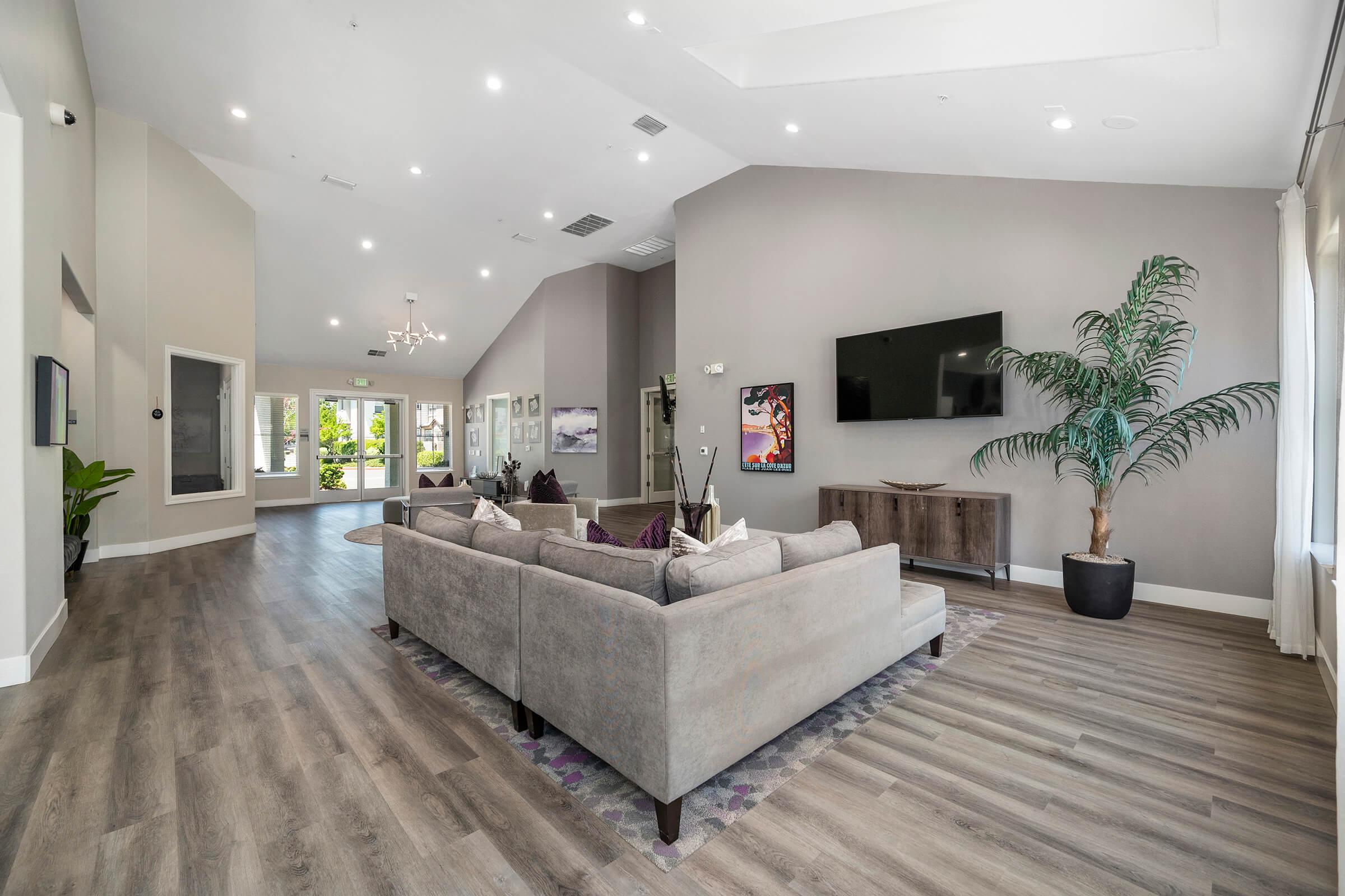 Modern living room featuring a large gray sectional sofa with colorful cushions, a flat-screen TV mounted on the wall, and a tall indoor plant in a decorative pot. The space has wood-like flooring, light gray walls, and large windows letting in natural light, creating a bright and inviting atmosphere.