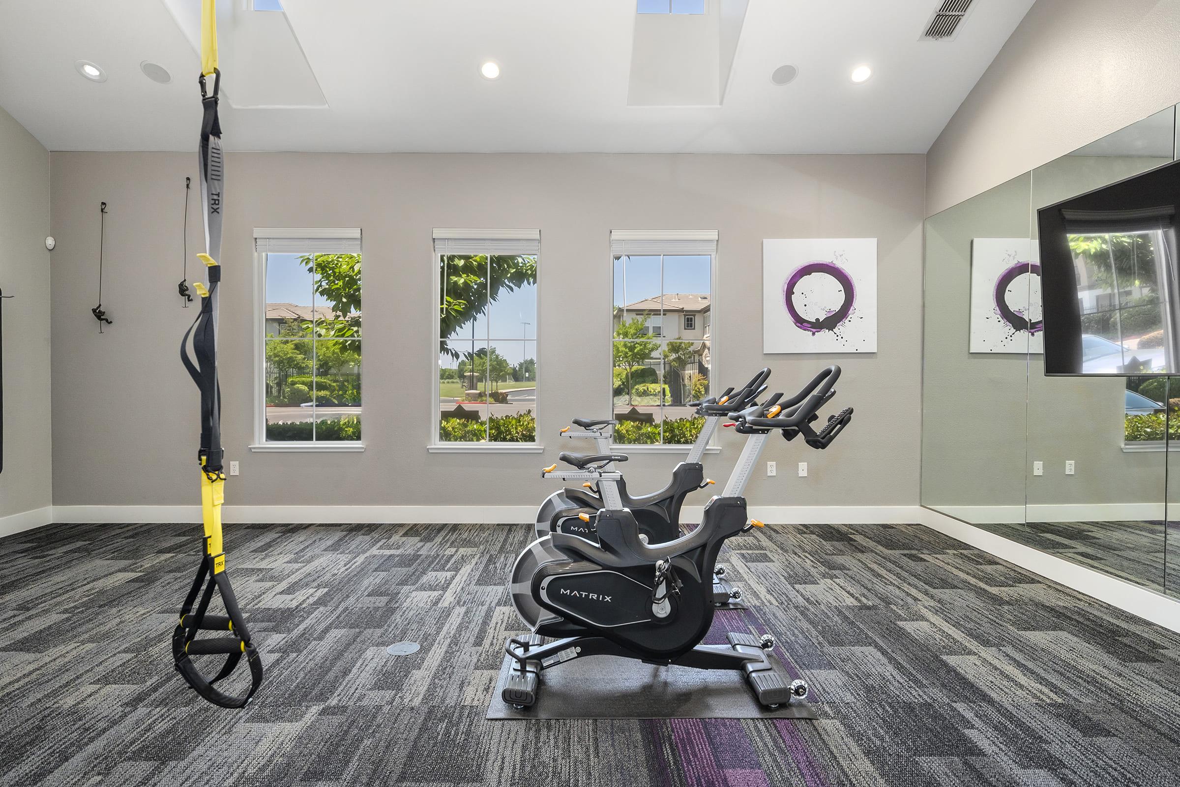 A modern fitness room featuring a stationary exercise bike and TRX suspension trainer hanging from the ceiling. Large windows allow natural light to fill the space, while contemporary artwork decorates the walls. The flooring is a stylish dark carpet, creating a welcoming exercise environment.