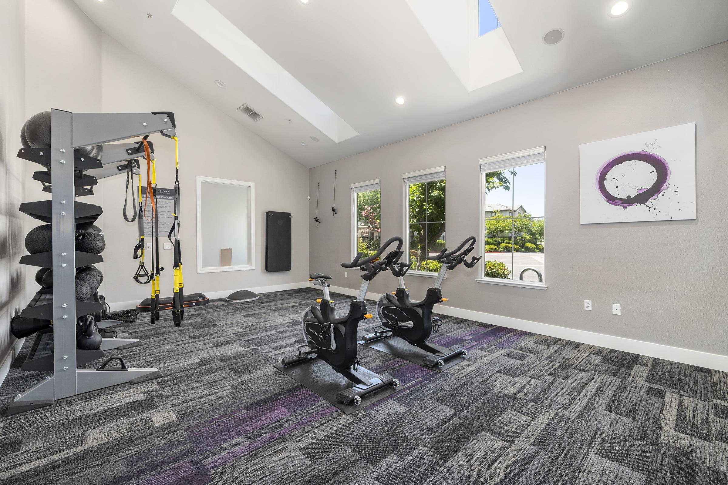 A modern gym interior featuring two stationary bikes, a suspension trainer, free weights on a rack, and a large fitness mat. Bright windows provide natural light, and a colorful abstract artwork is displayed on the wall. The space has a clean, contemporary design with a patterned carpet