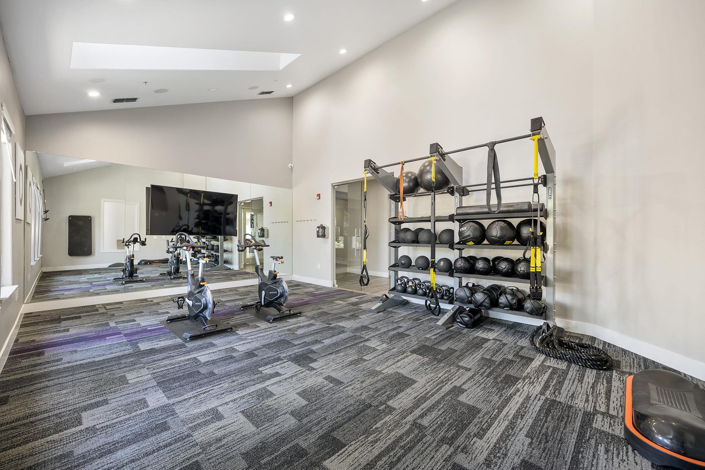 A modern gym interior featuring exercise equipment such as stationary bikes and a weight rack with various medicine balls. The space has large mirrors, natural light from windows, and a sleek carpet design, creating a bright and inviting workout environment.