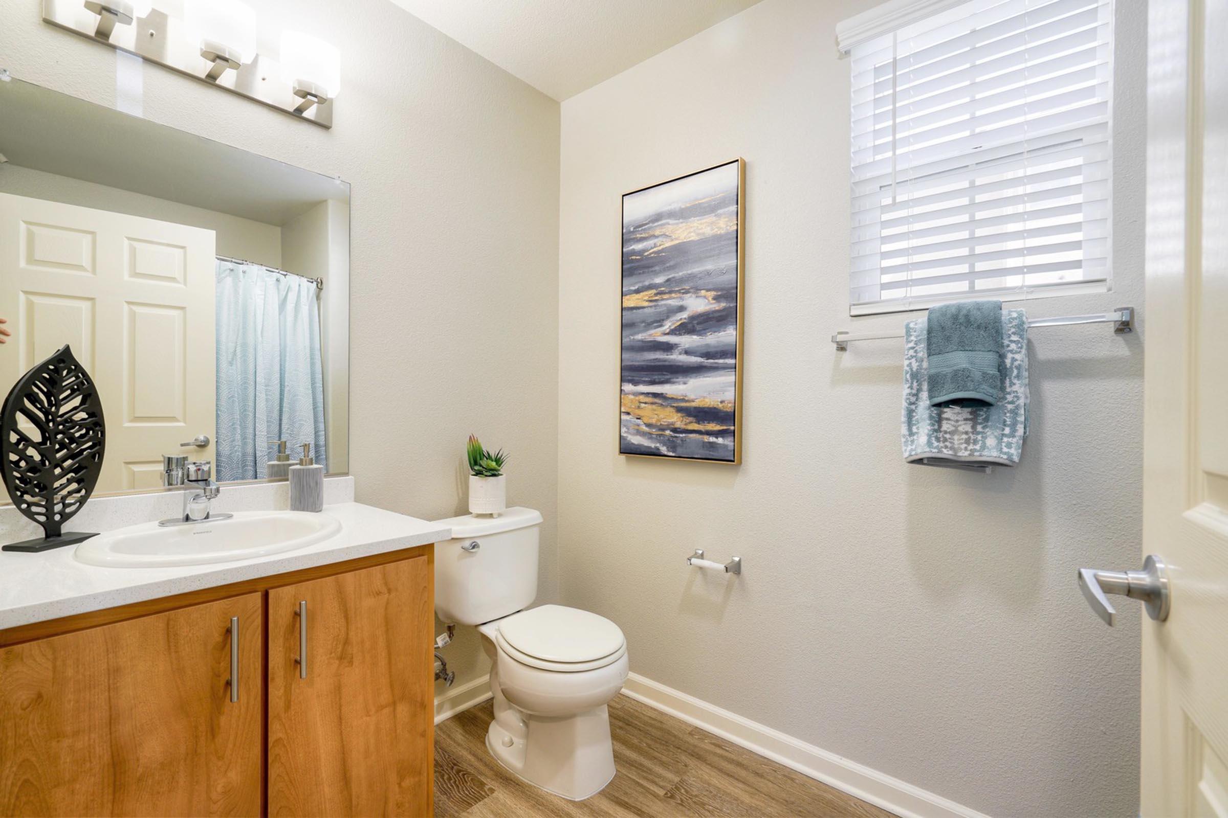 Bright and modern bathroom featuring a light-colored wall, wooden cabinetry, a white sink and toilet, and a shower curtain. There's a decorative wall art piece, a green plant, and neatly hung towels, creating a clean and inviting atmosphere. Natural light filters in through a window with white blinds.