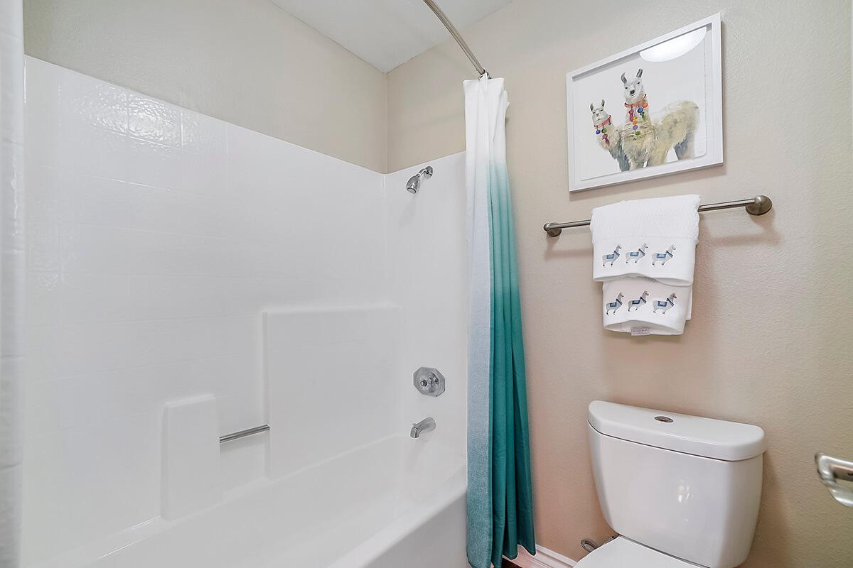 Bathroom with white and teal shower curtain