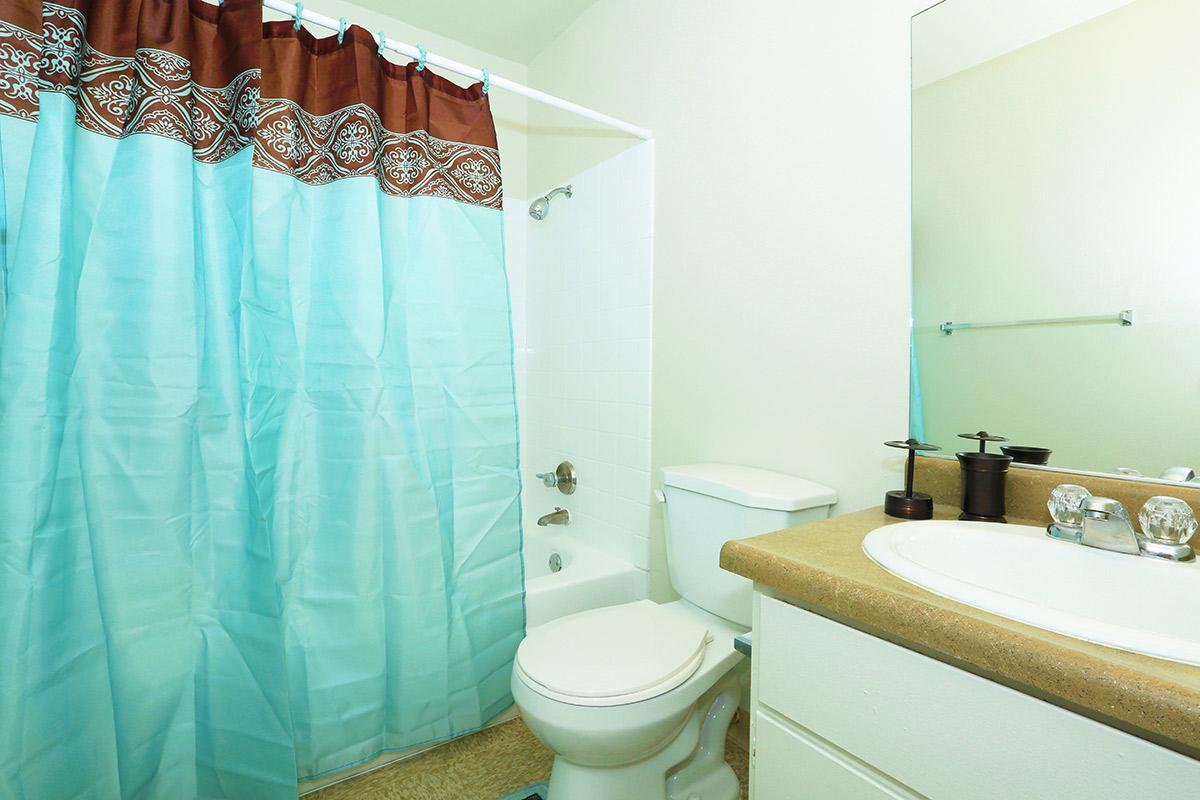 a shower curtain