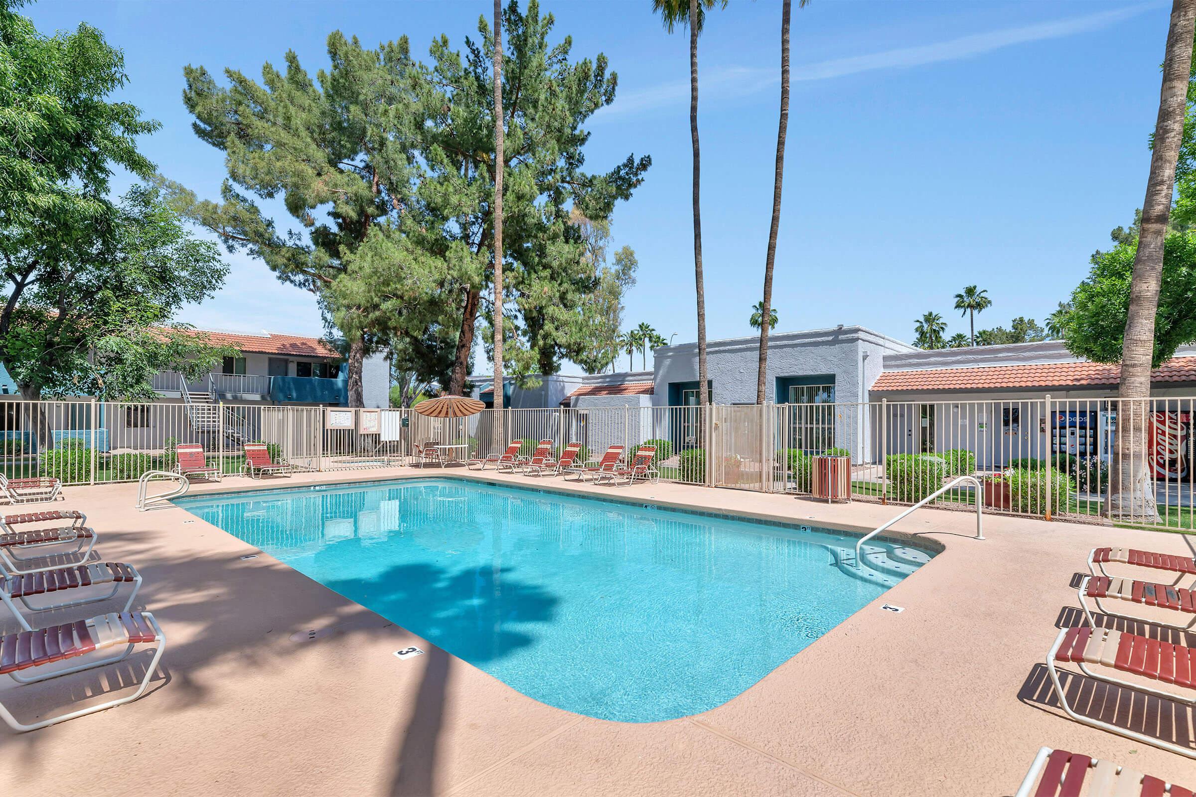 a pool next to a palm tree