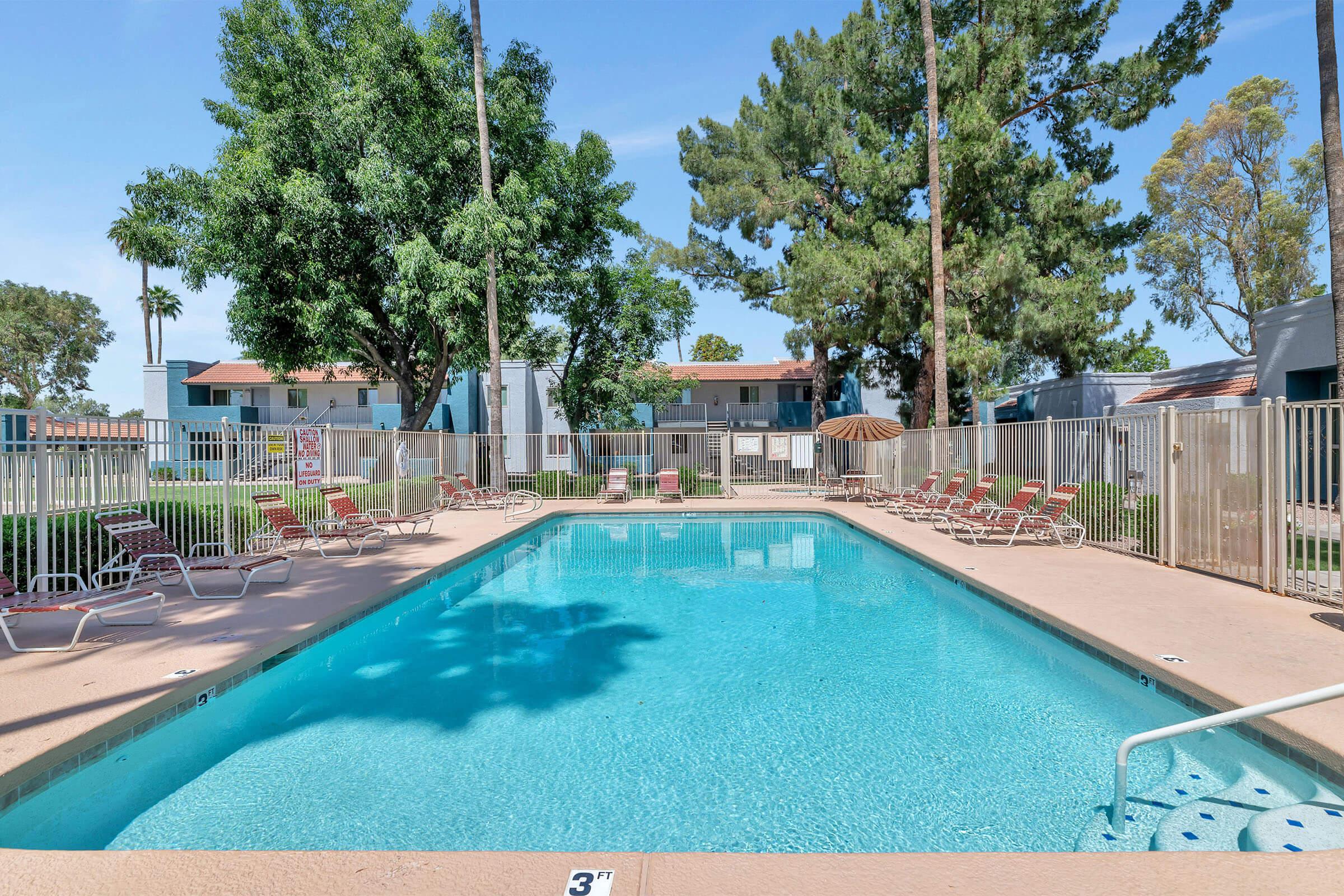 a pool next to a palm tree