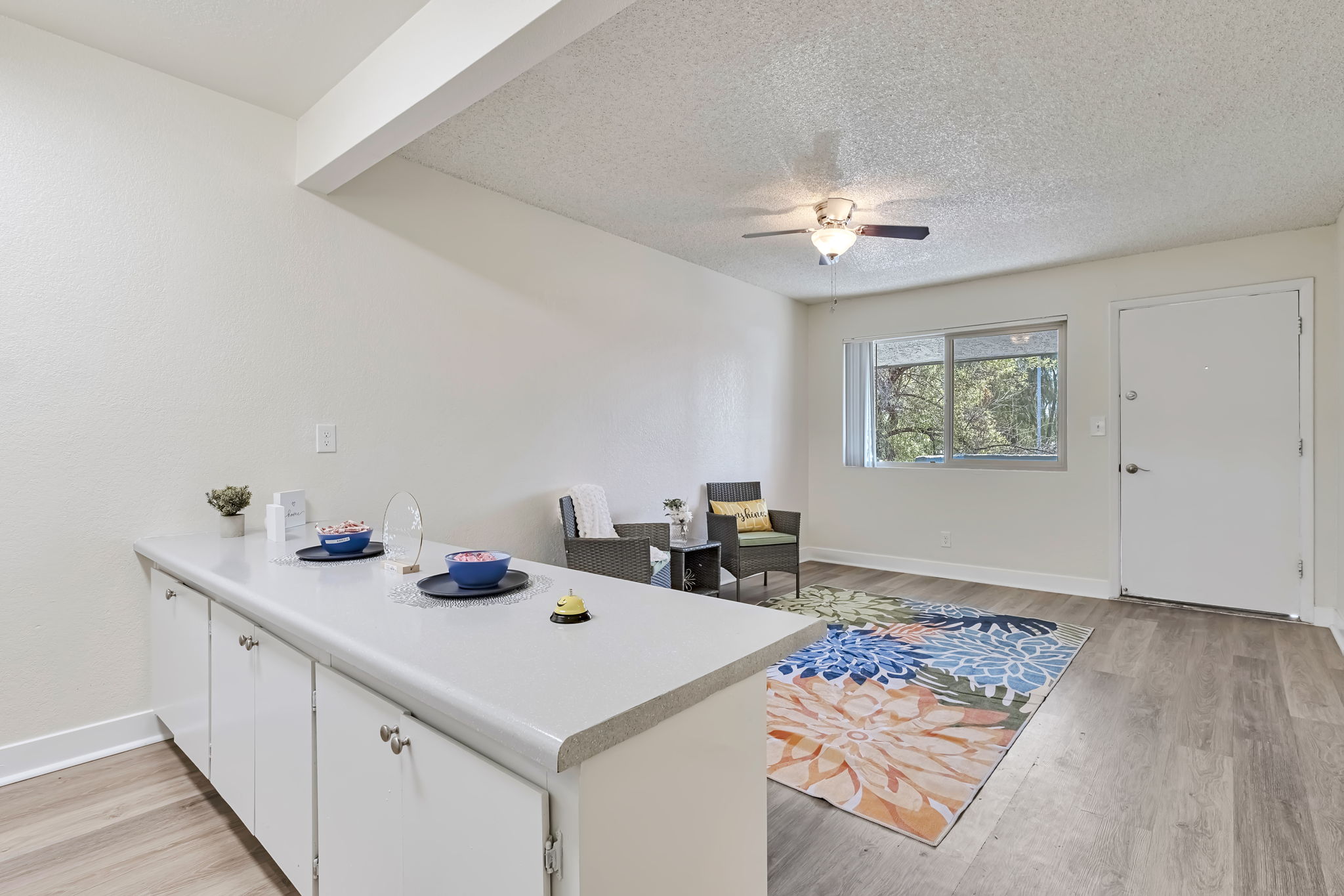 A bright, modern living space featuring a kitchen countertop with bowls and a small decorative plant. The adjacent area has a comfortable seating arrangement, a colorful area rug, and a window with natural light. A door leads outside, enhancing the open, welcoming feel of the room.